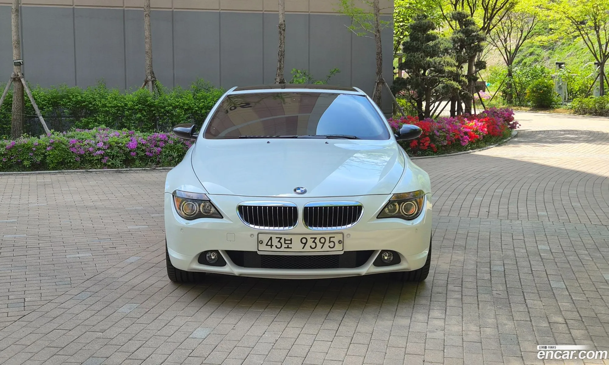 BMW 6 Series 2006 — 11
