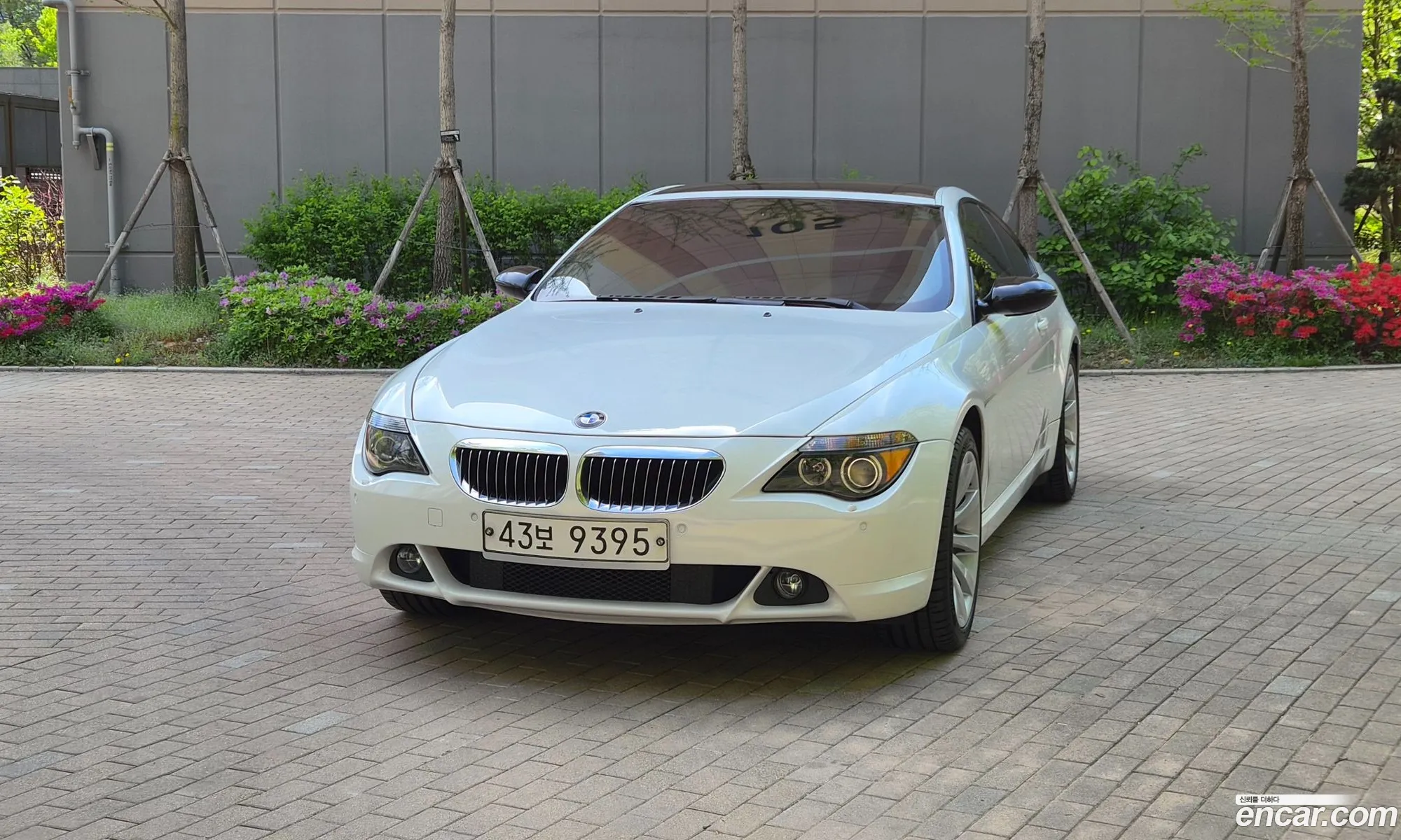 BMW 6 Series 2006 — 6