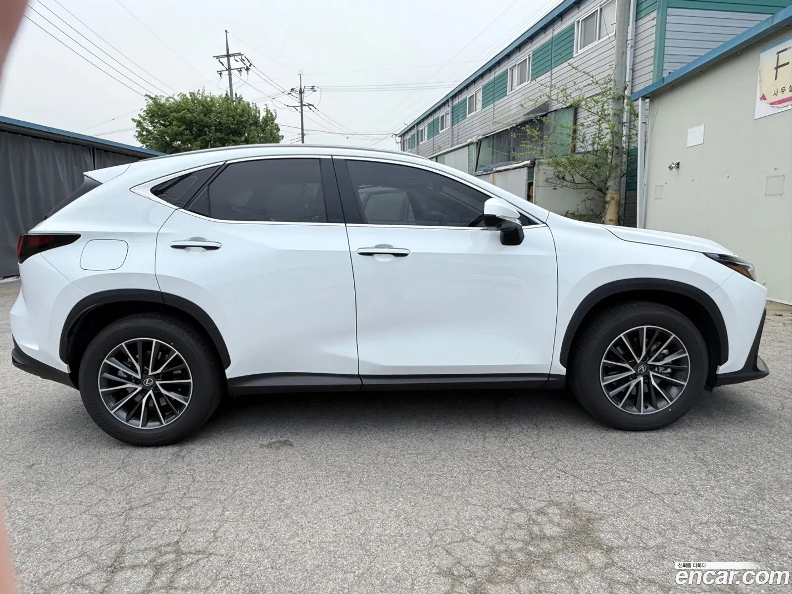 Lexus NX450h+ 2026 — 7