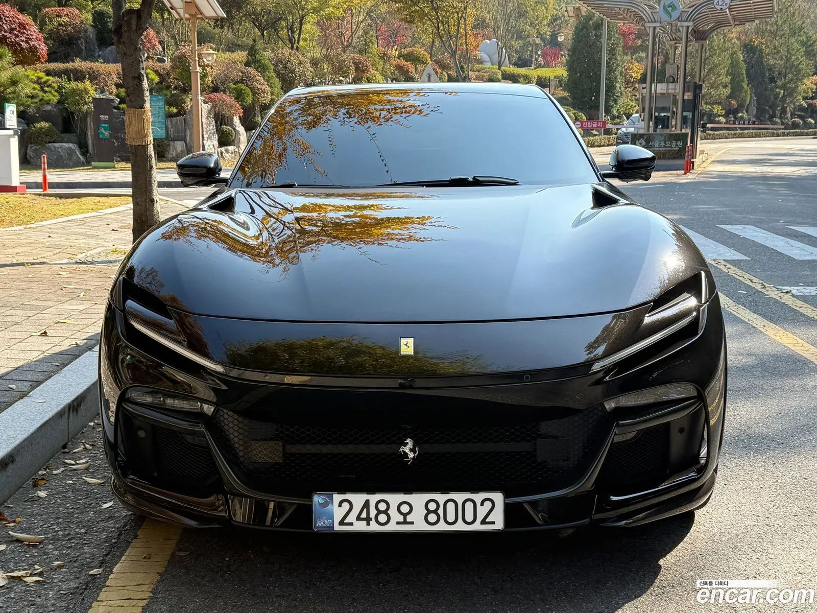 Ferrari Purosangue 2024 — 13