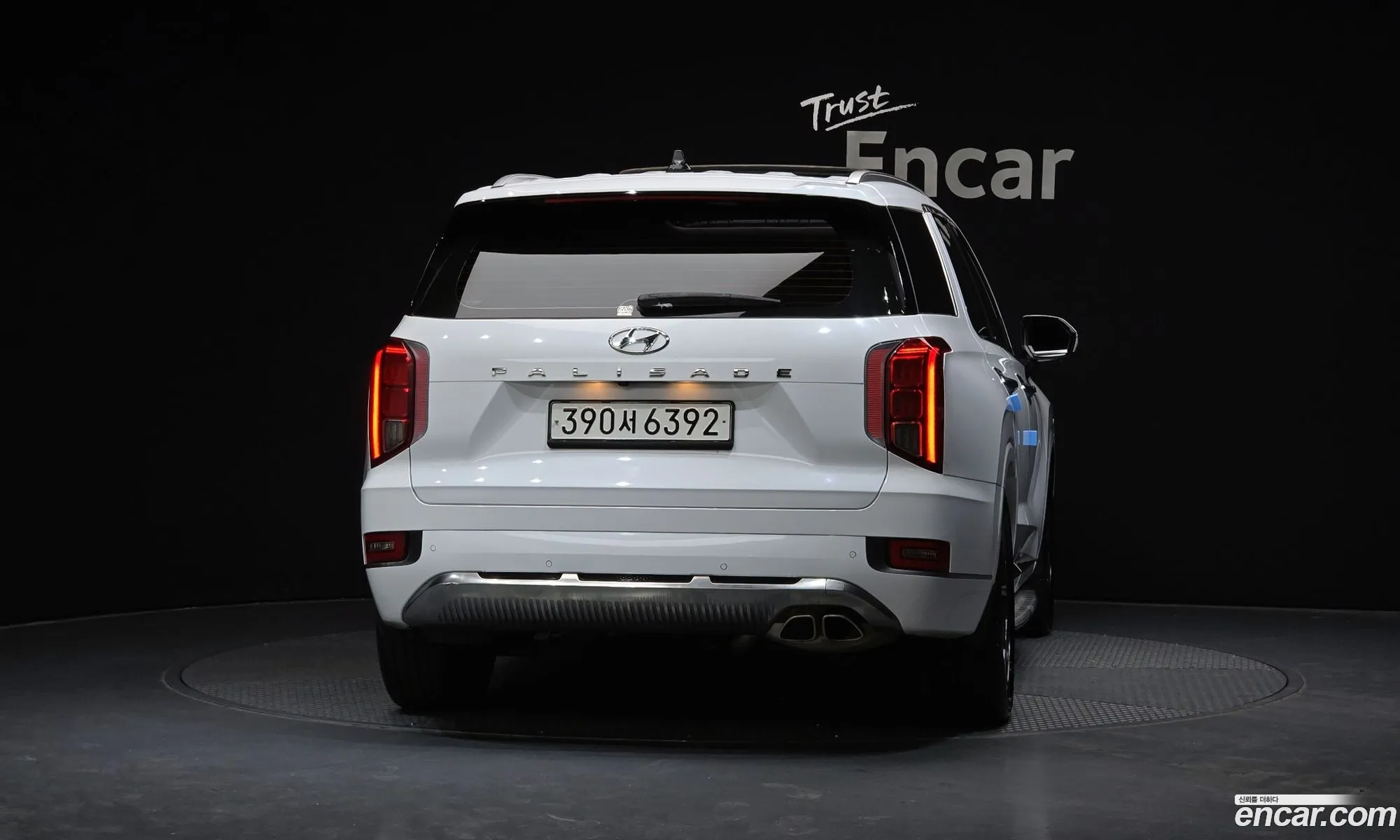 Hyundai Palisade 2021 — 10