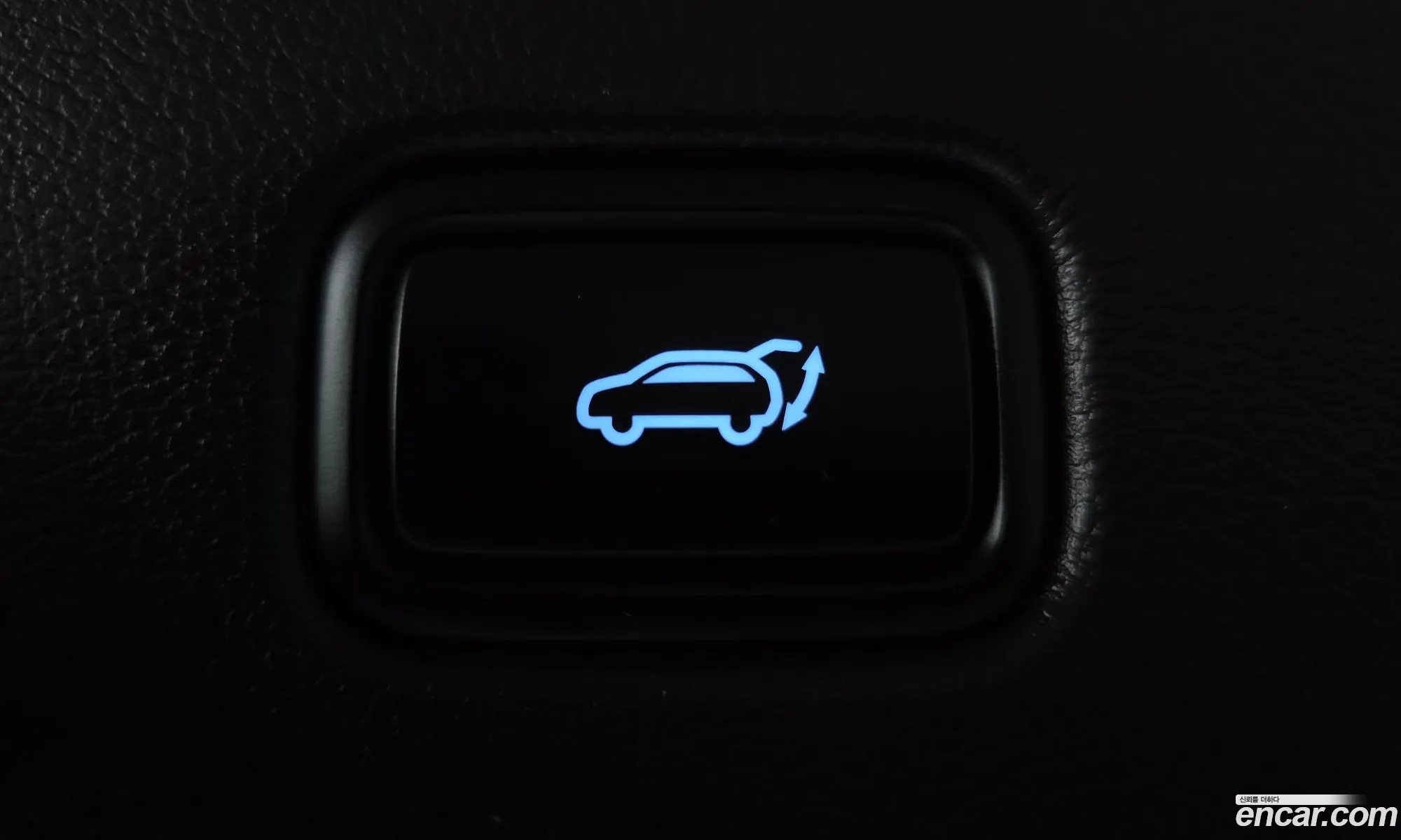 Hyundai Palisade 2021 — 19