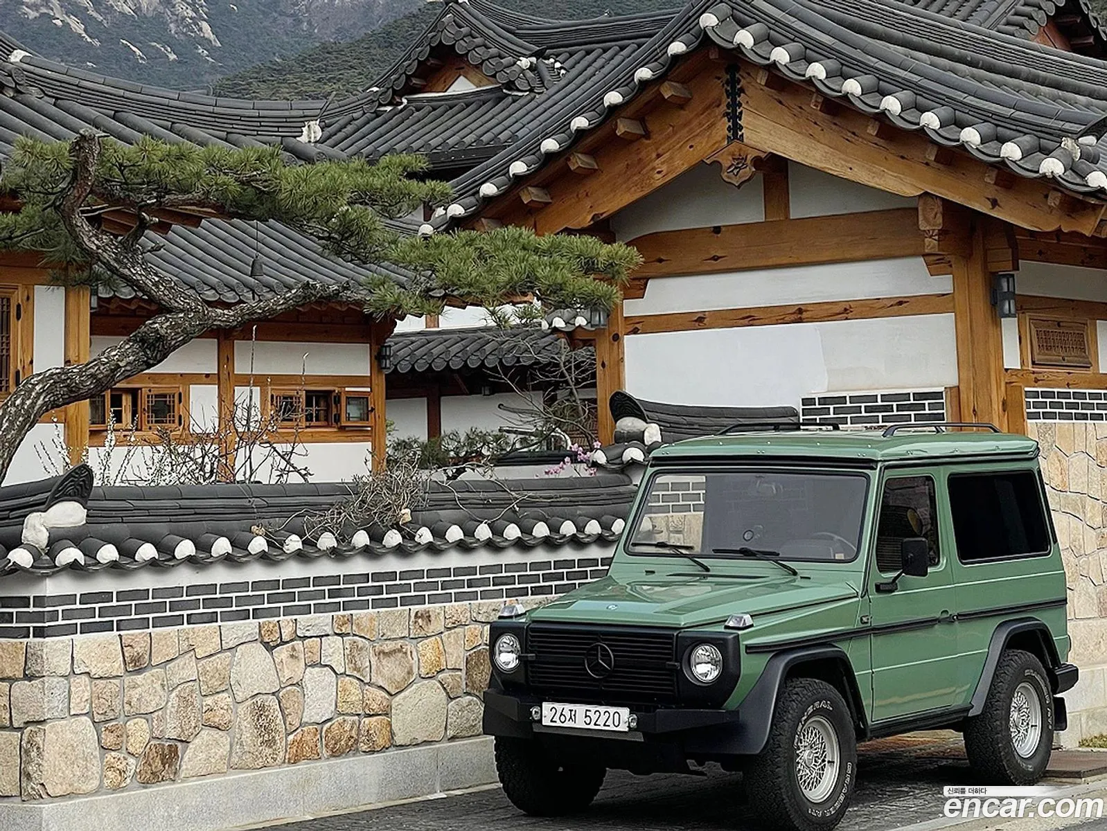 Mercedes-Benz G-Class W460 1982 — 18