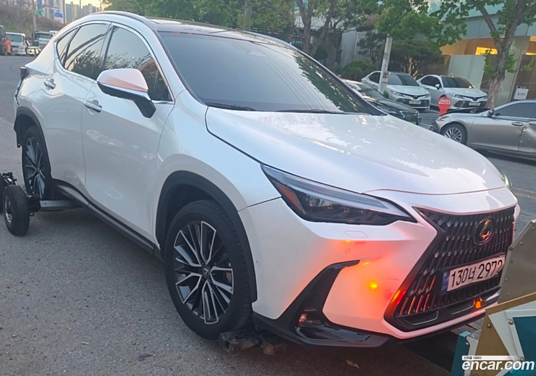 Lexus NX350h 2023 — 5