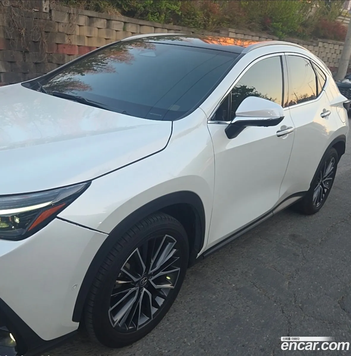 Lexus NX350h 2023 — 3