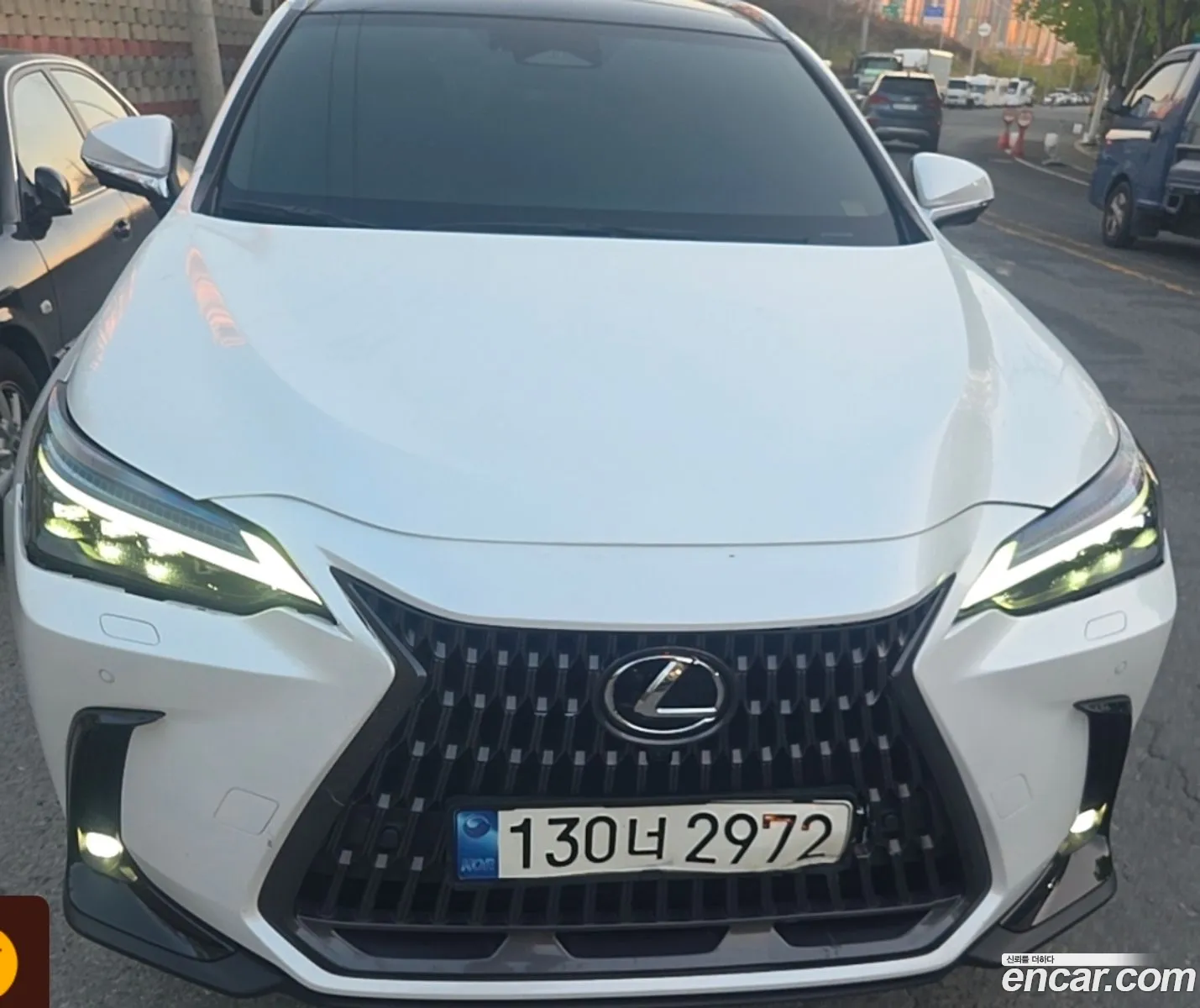 Lexus NX350h 2023 — 6