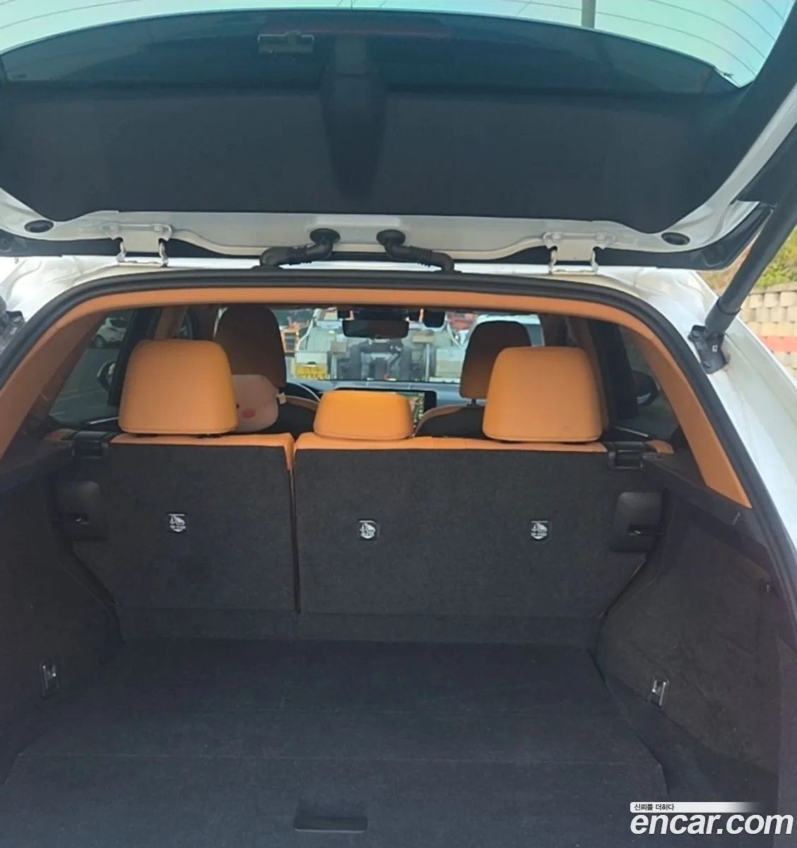 Lexus NX350h 2023 — 8