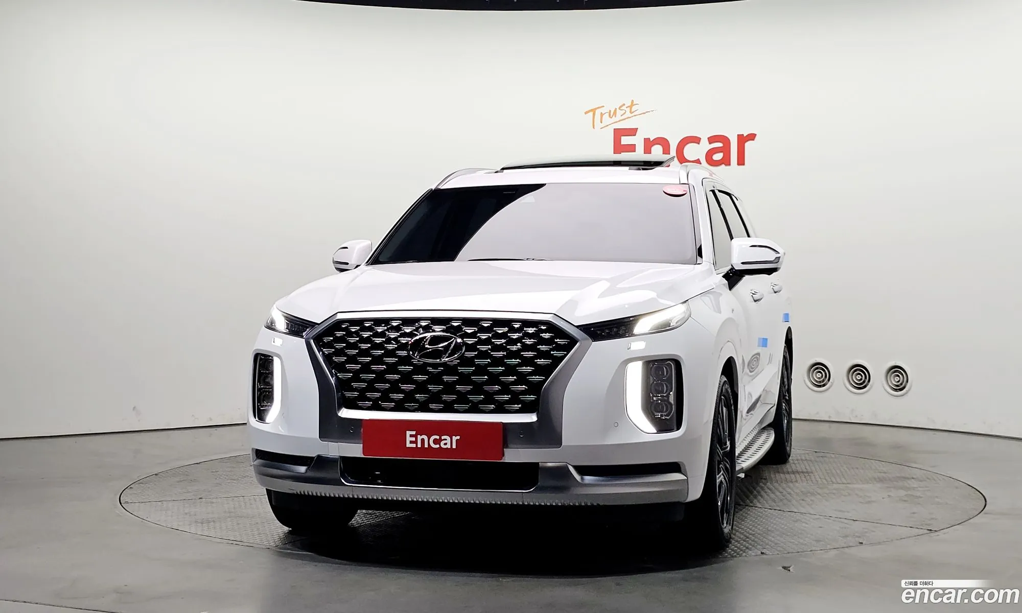 Hyundai Palisade 2021 — 11