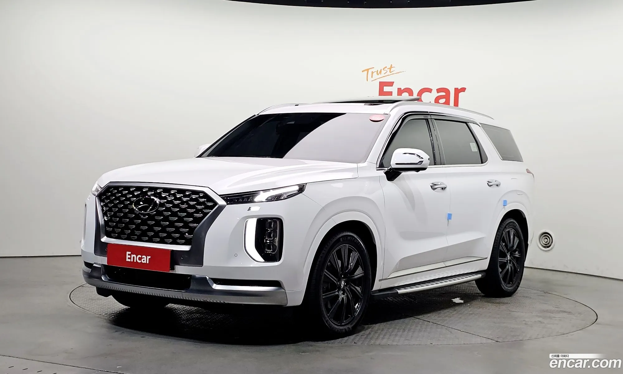 Hyundai Palisade 2021 — 9