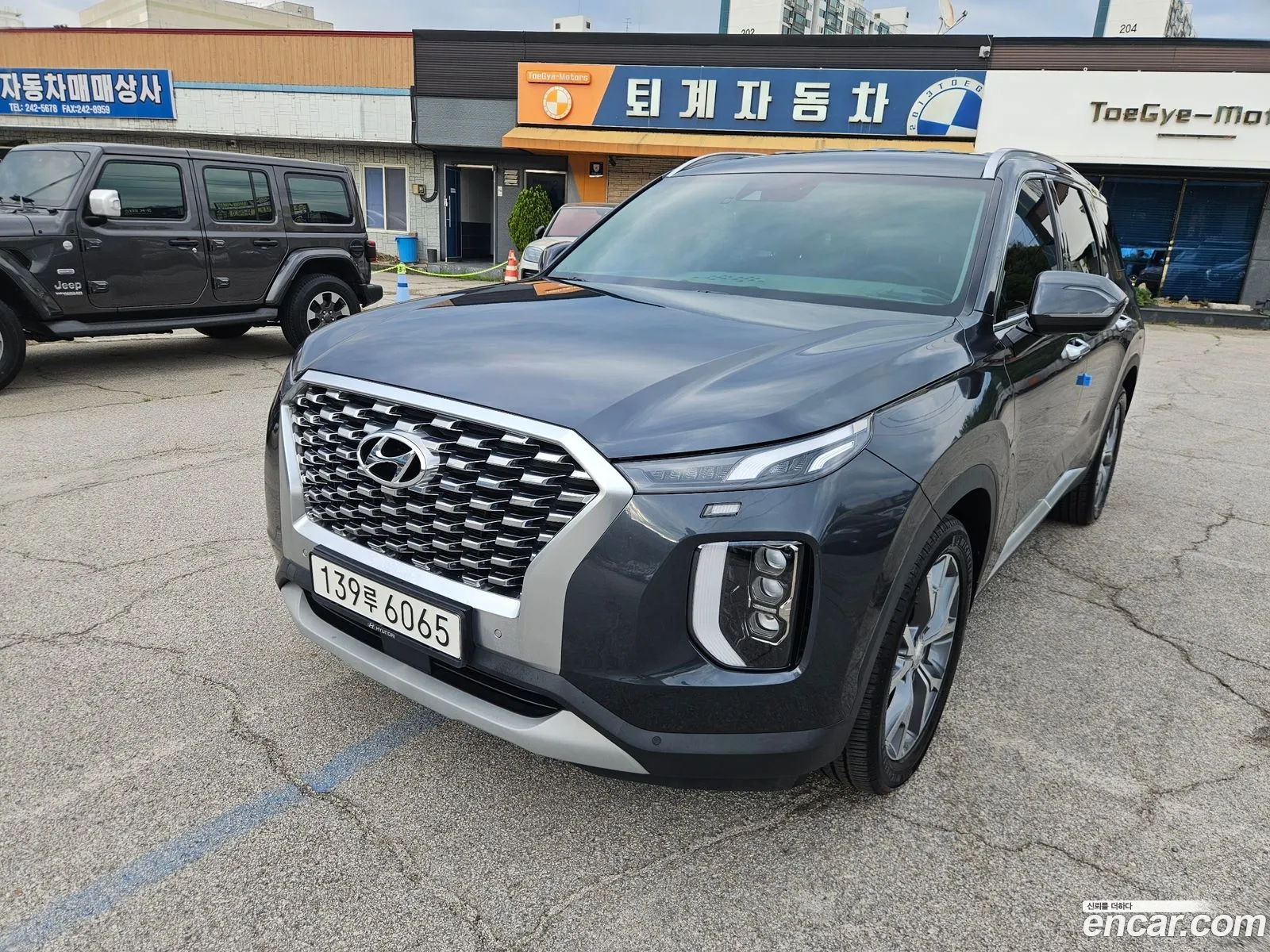Hyundai Palisade 2020 — 19
