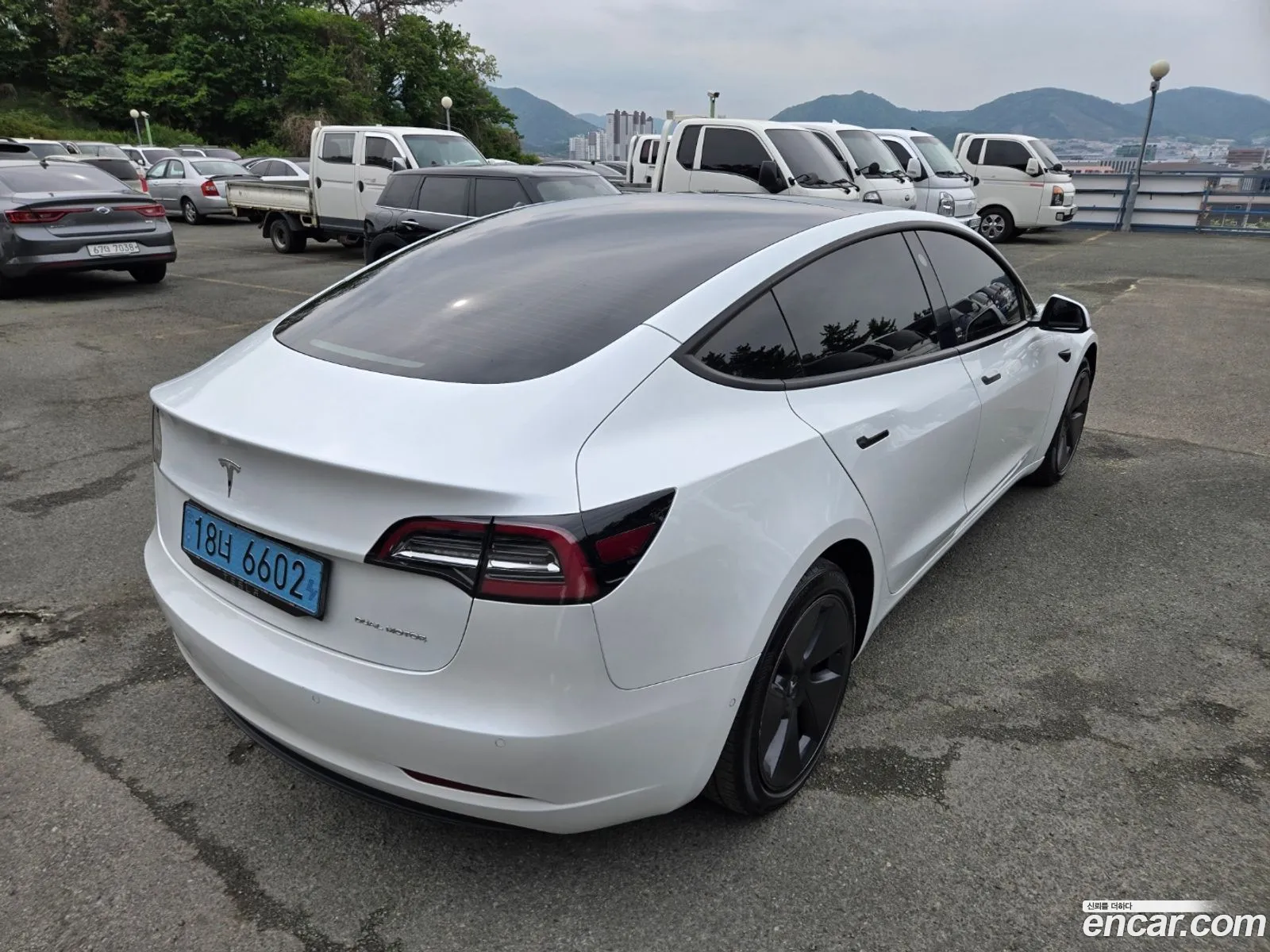 Tesla Model 3 2021 — 2