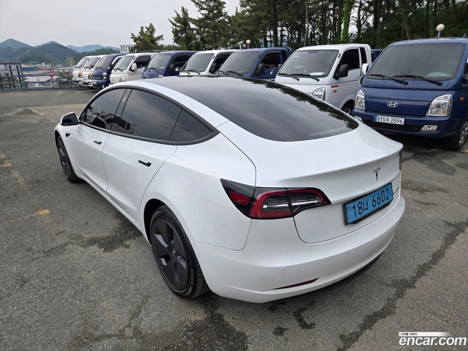 Tesla Model 3 2021 — 15