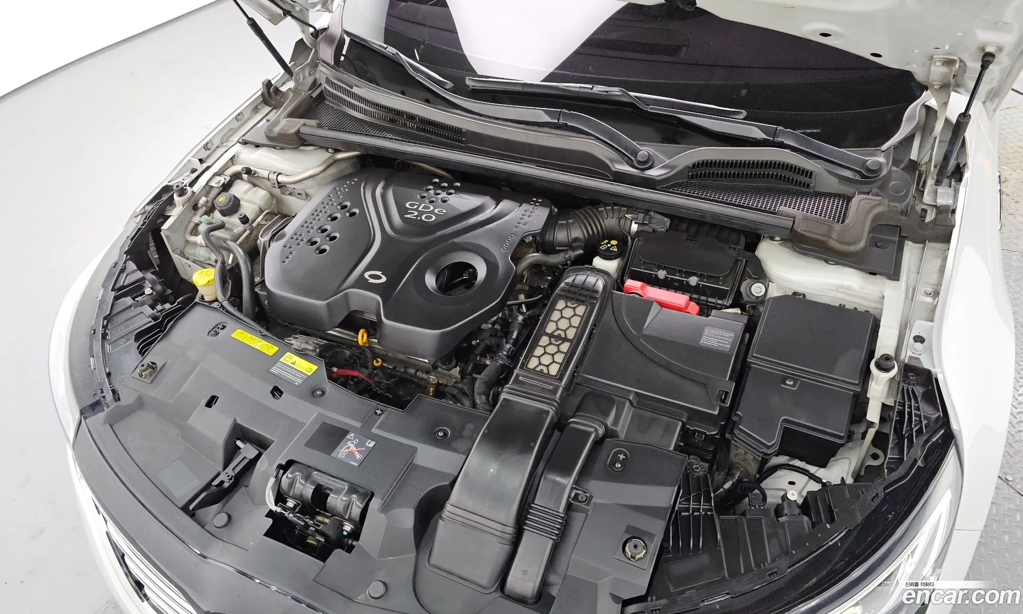 Renault Korea (Samsung) SM6 2016 — 20