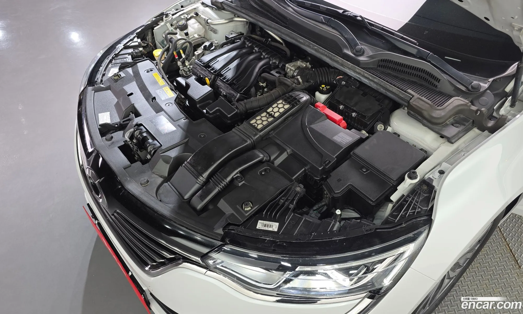 Renault Korea (Samsung) SM6 2017 — 25