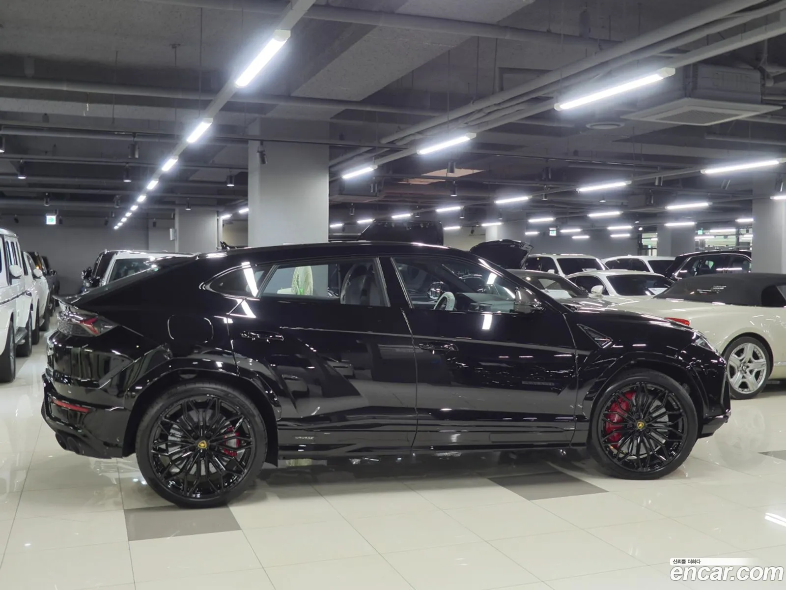 Lamborghini Urus 2025 — 10