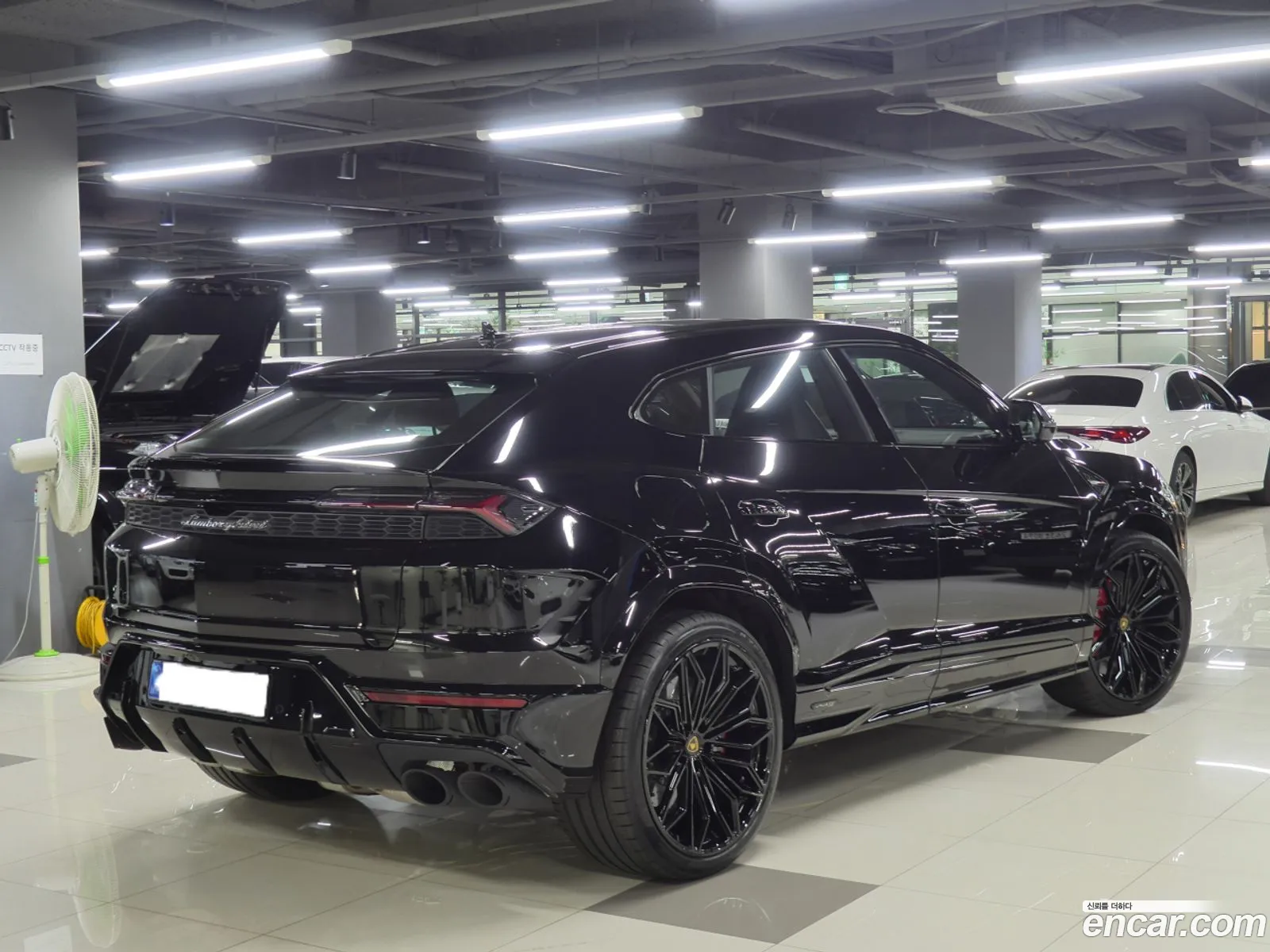 Lamborghini Urus 2025 — 7