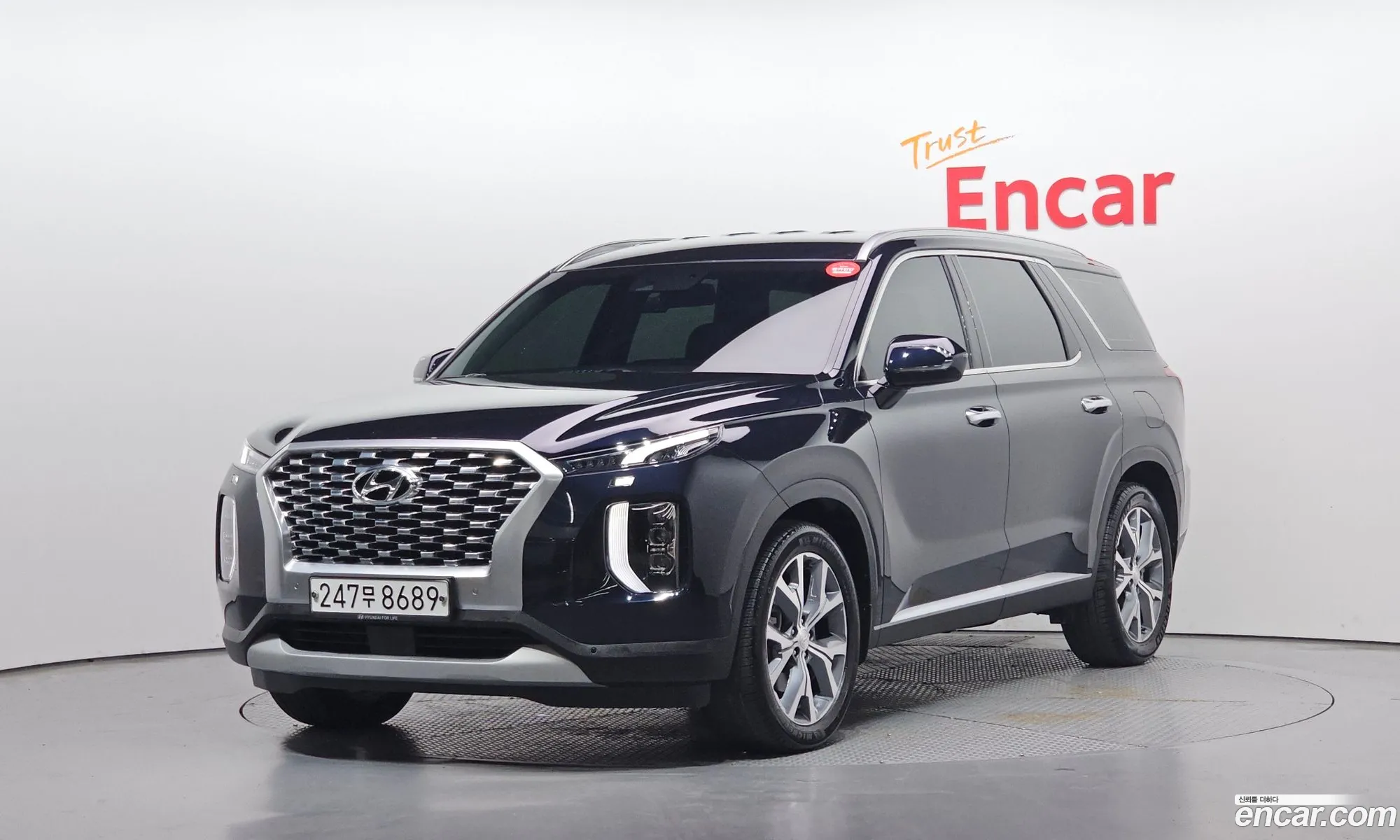 Hyundai Palisade 2020 — 9
