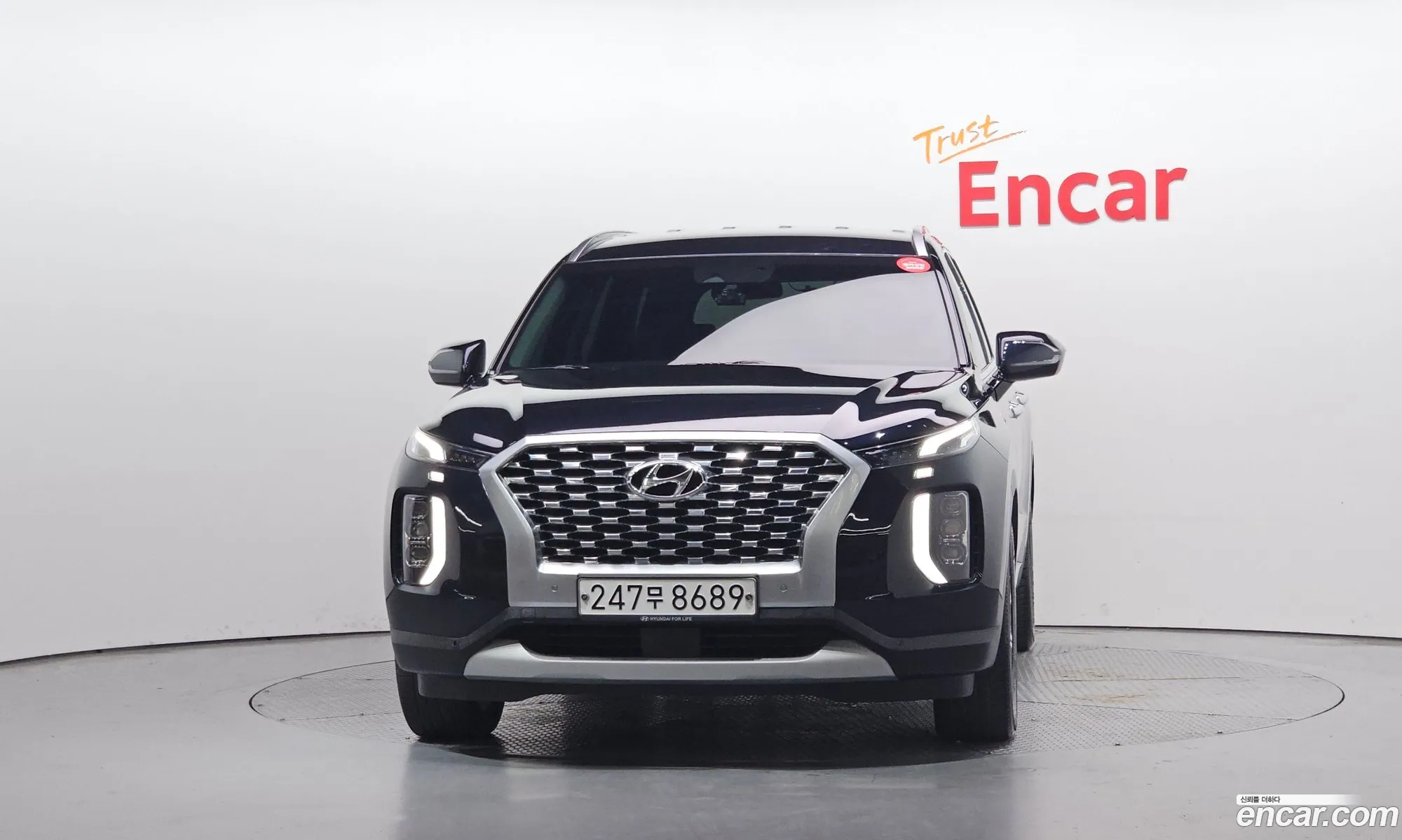 Hyundai Palisade 2020 — 16
