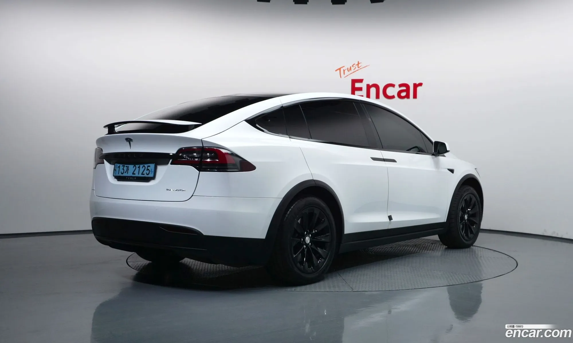 Tesla Model X 2020 — 25