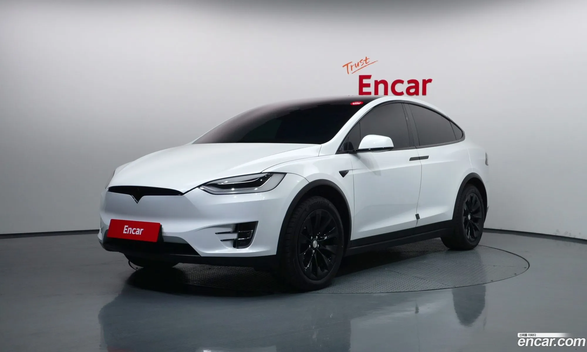 Tesla Model X 2020 — 35