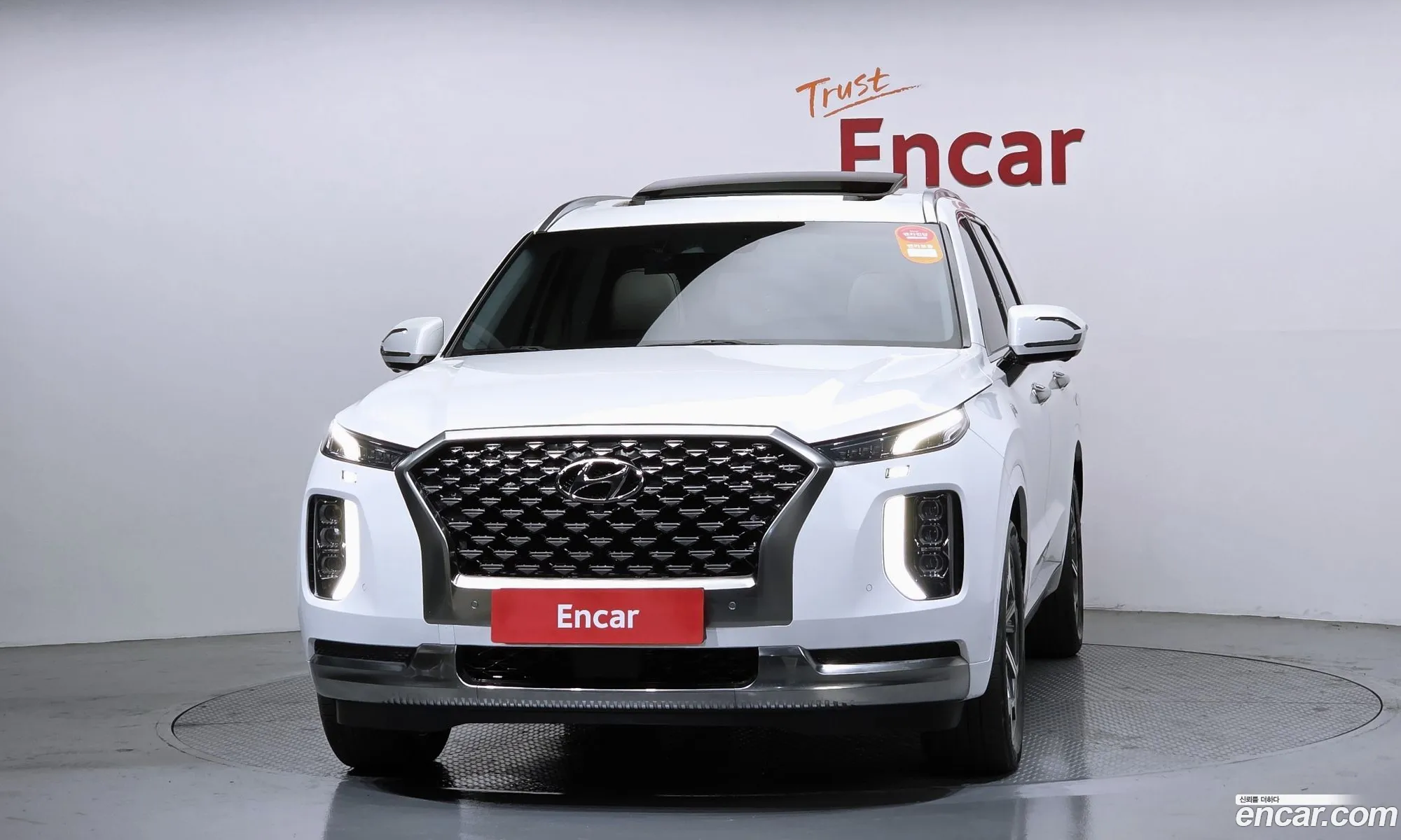 Hyundai Palisade 2022 — 20