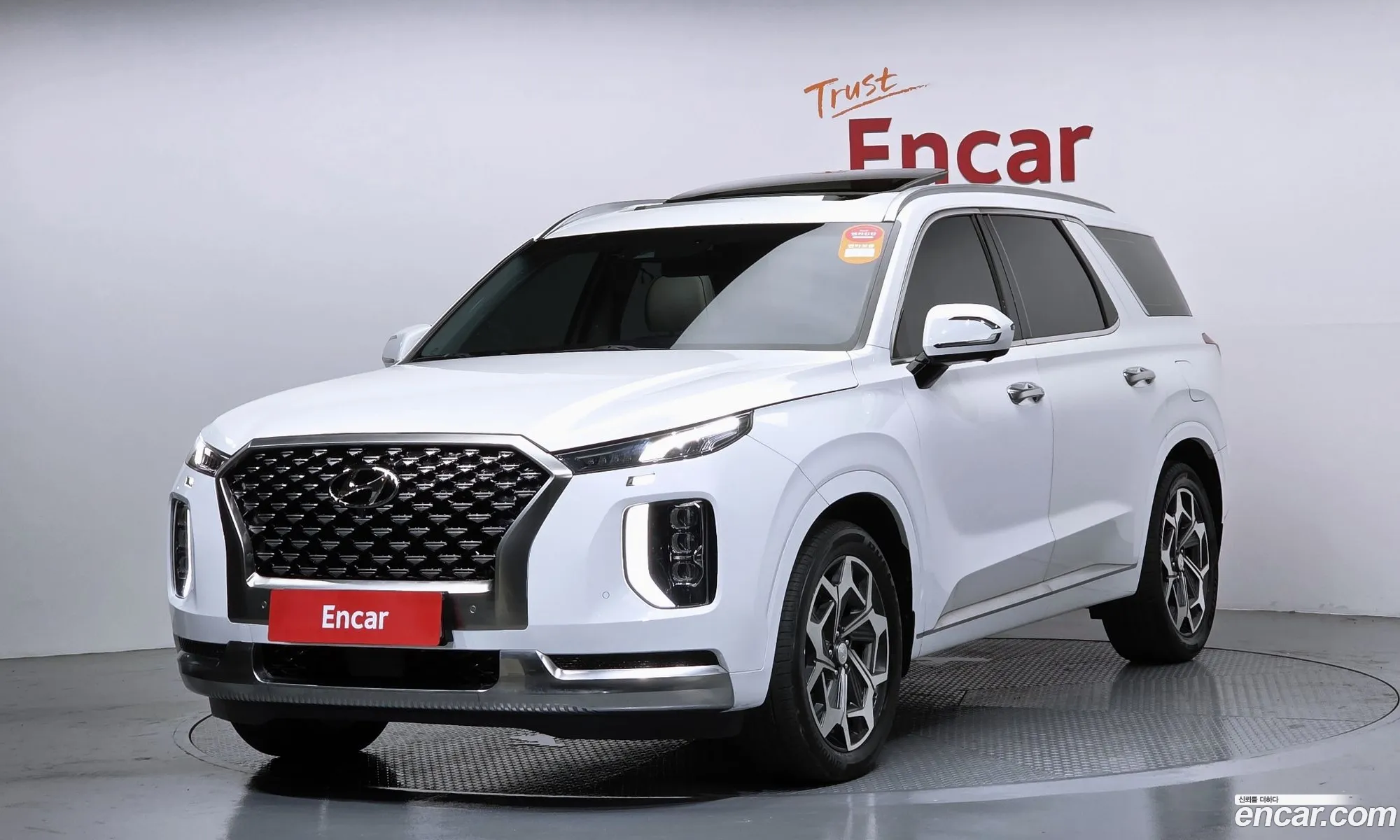 Hyundai Palisade 2022 — 21
