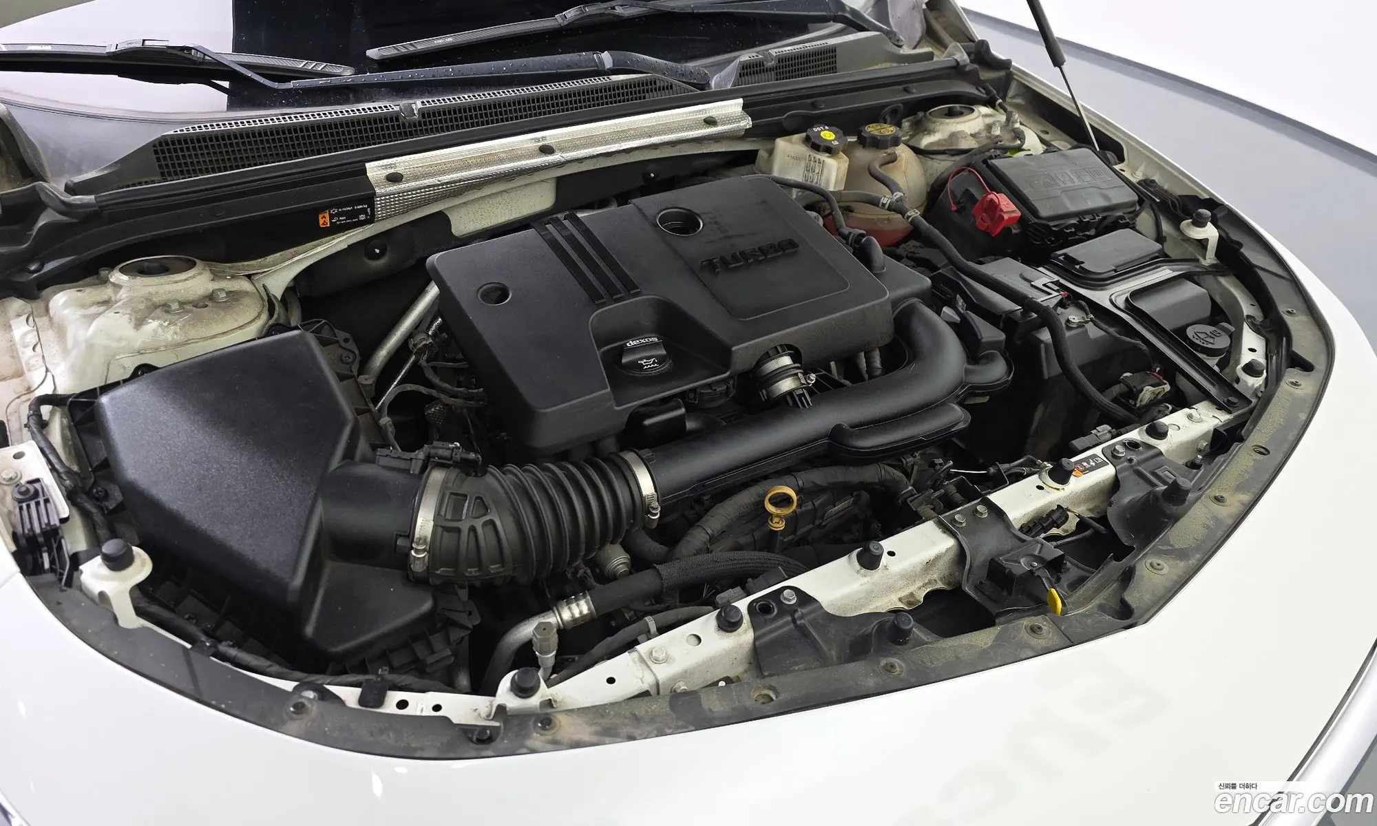 Chevrolet (GM Daewoo) Malibu 2020 — 19