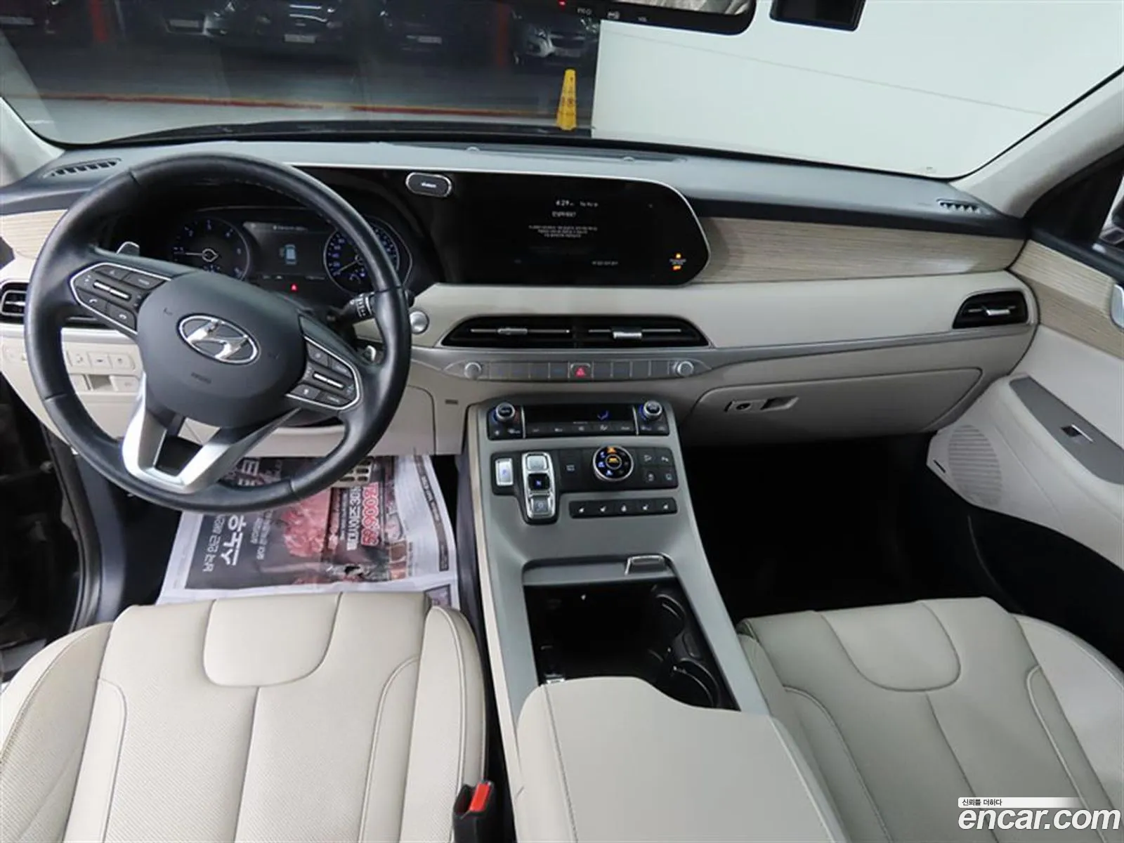 Hyundai Palisade 2020 — 17