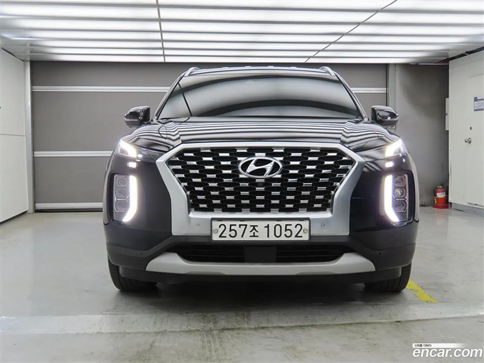 Hyundai Palisade 2020 — 19