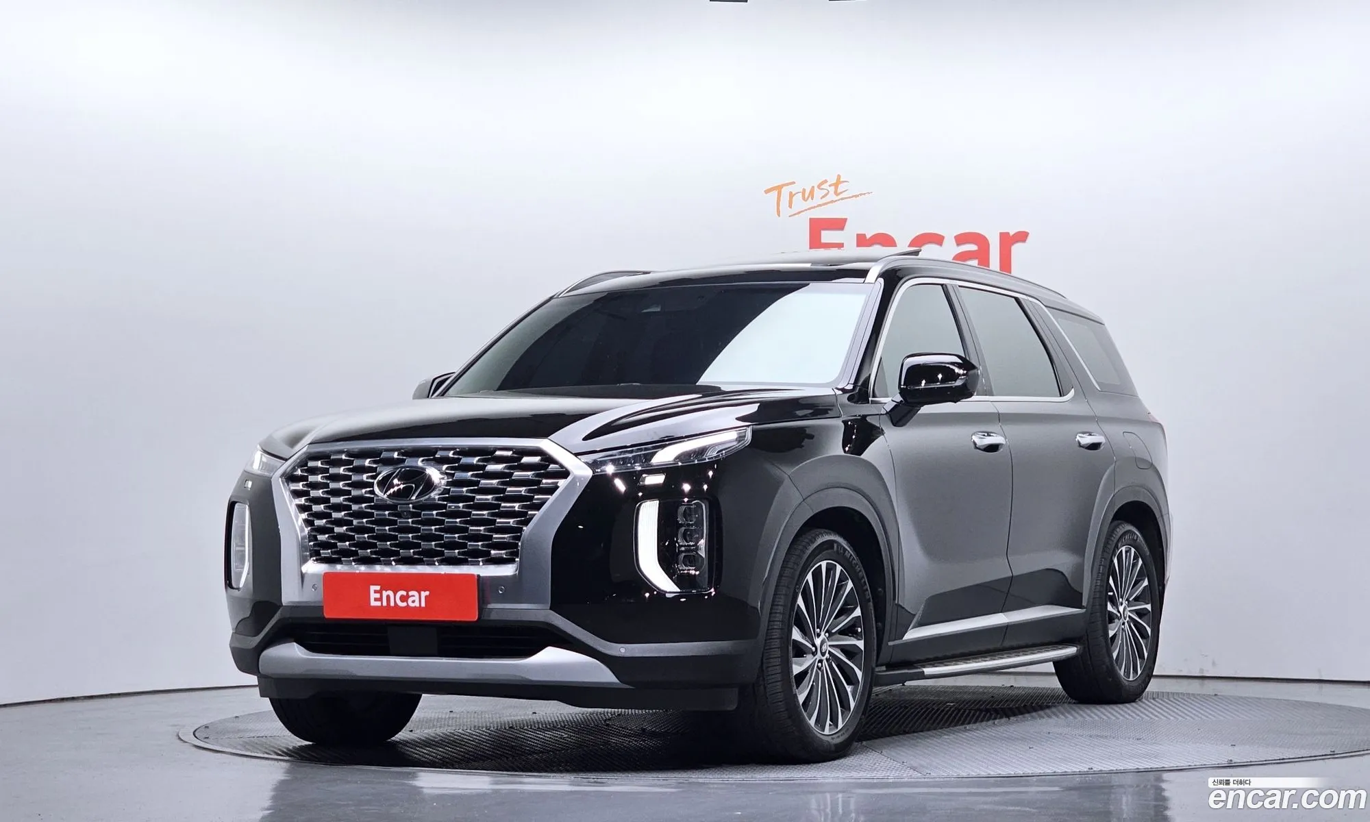 Hyundai Palisade 2019 — 13