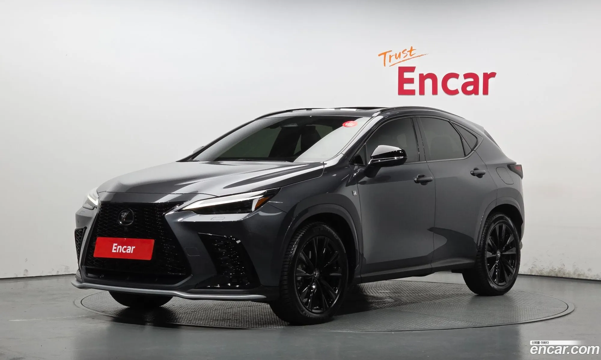 Lexus NX450h+