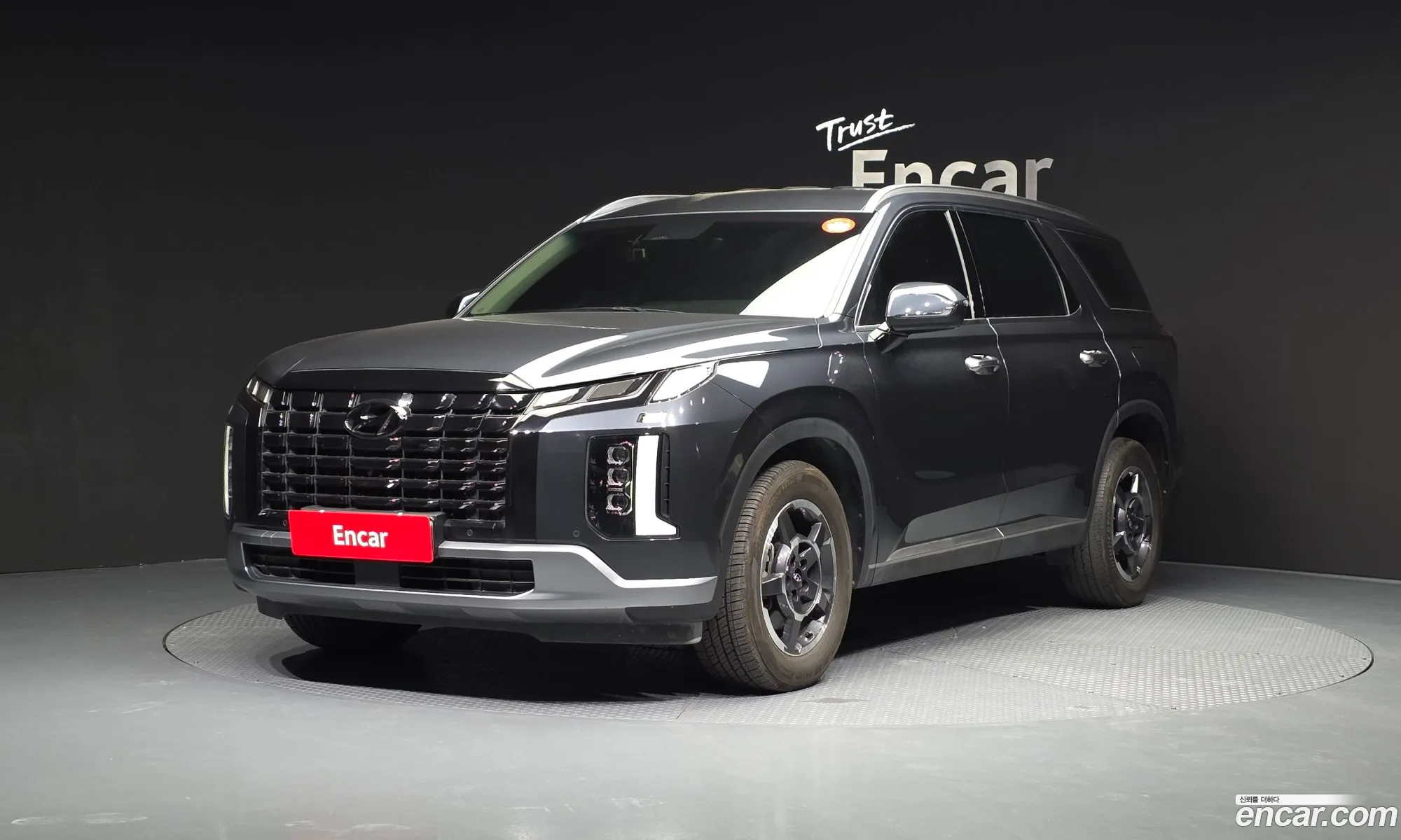 Hyundai Palisade 2022 — 19