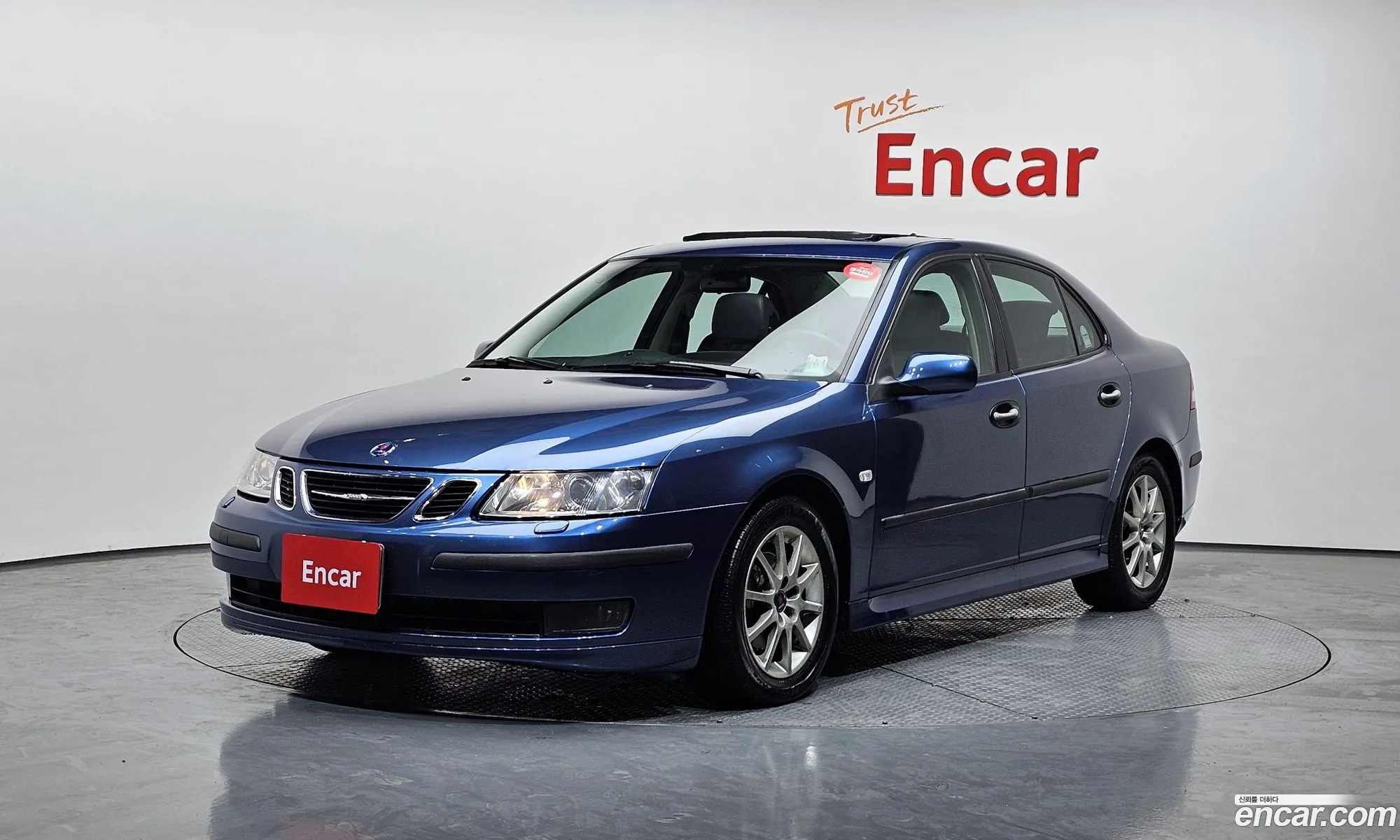 Saab 9-3 2003 YS3FB49F131028318 — 11