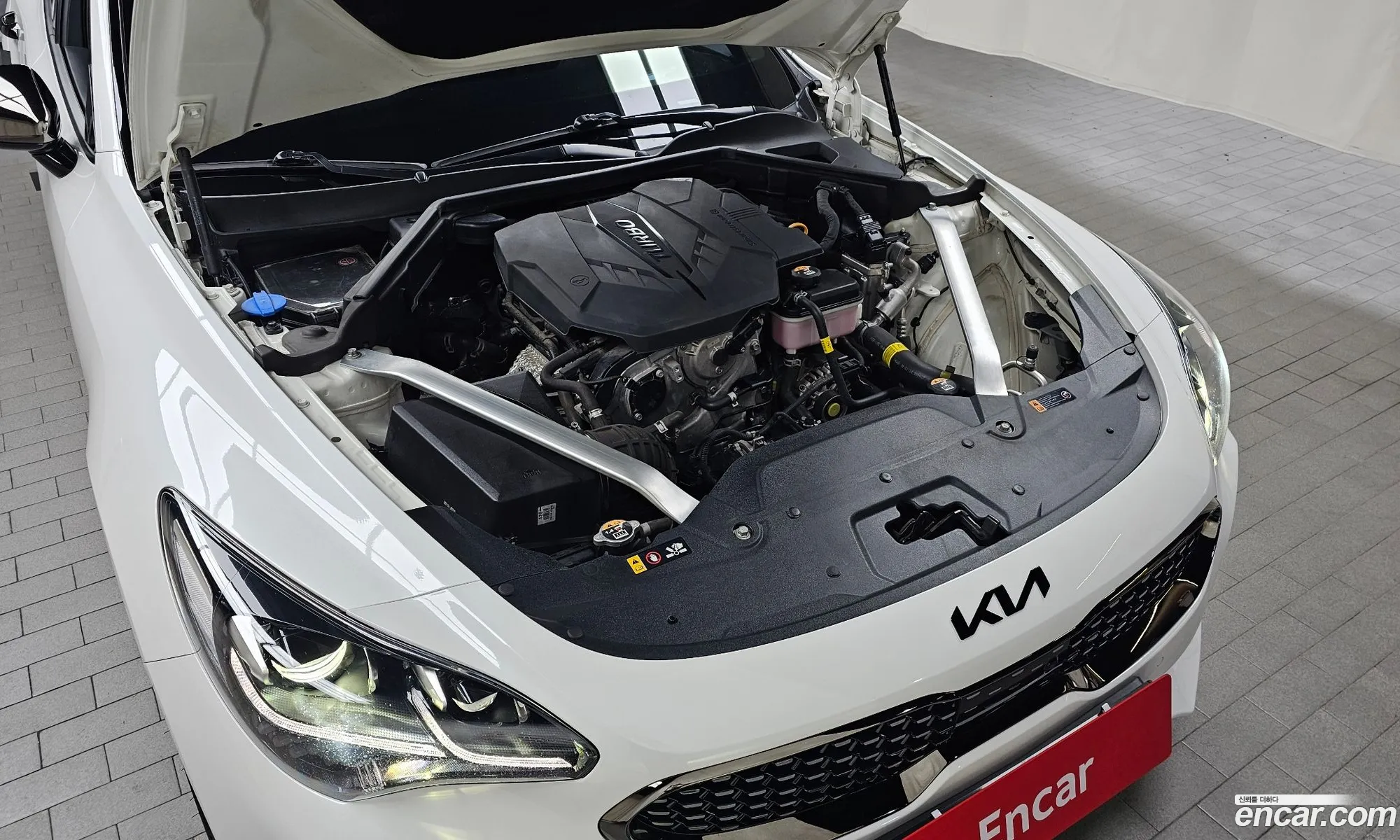 Kia Stinger Meister