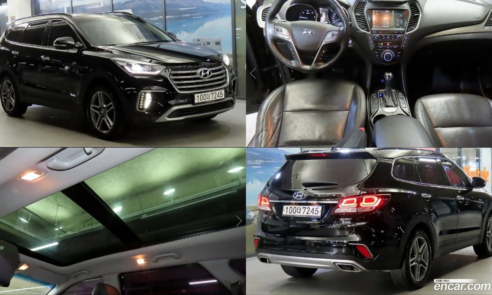 Hyundai Maxcruz 2016 — 18
