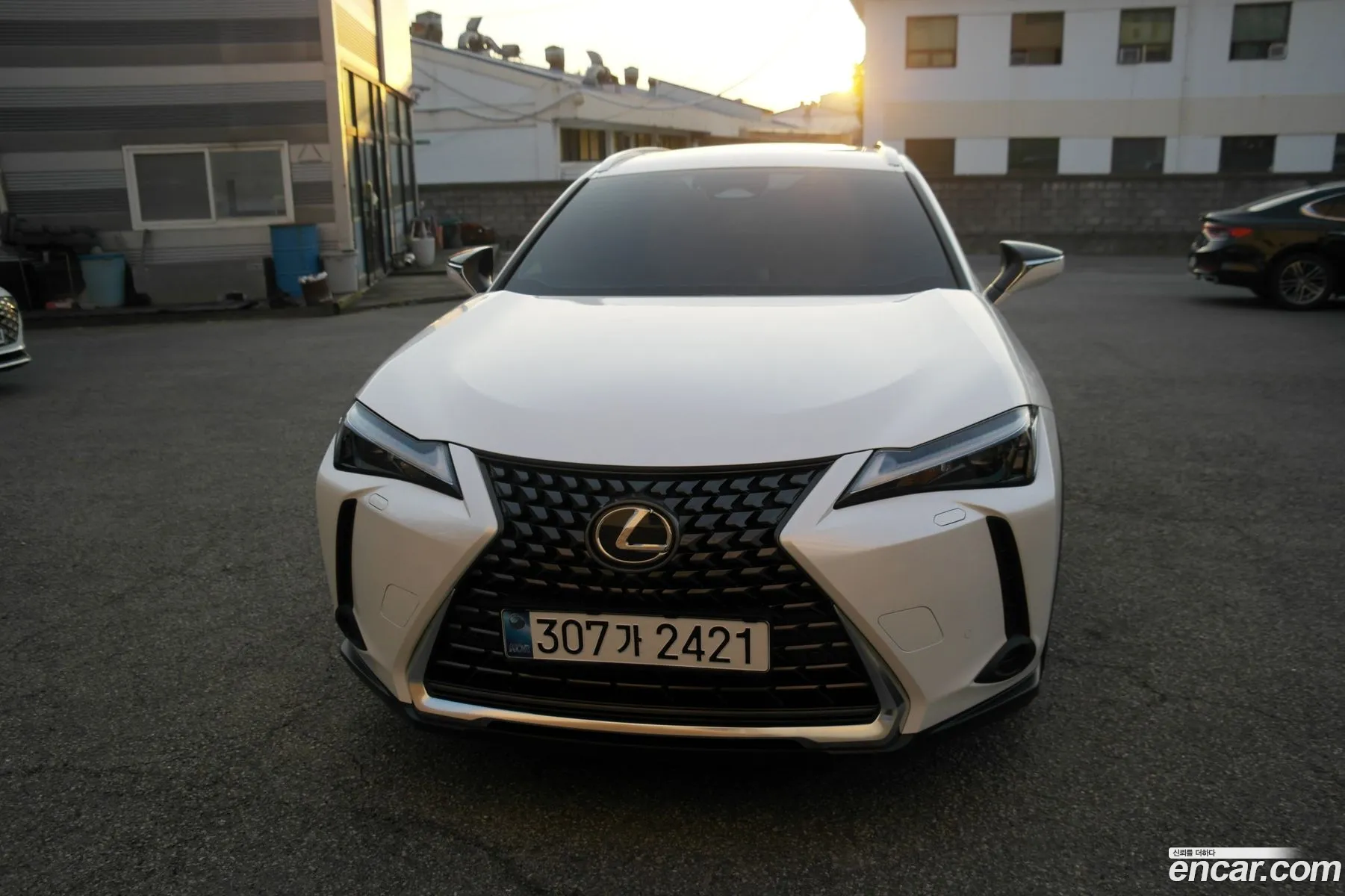 Lexus UX300h 2024 — 15