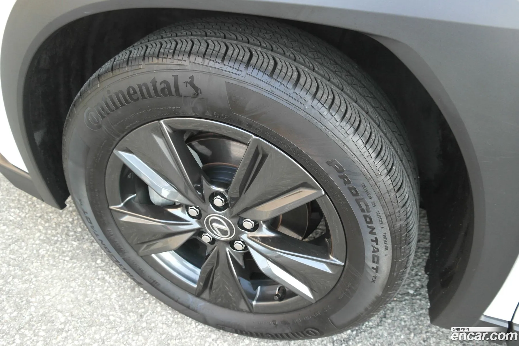 Lexus UX300h 2024 — 8