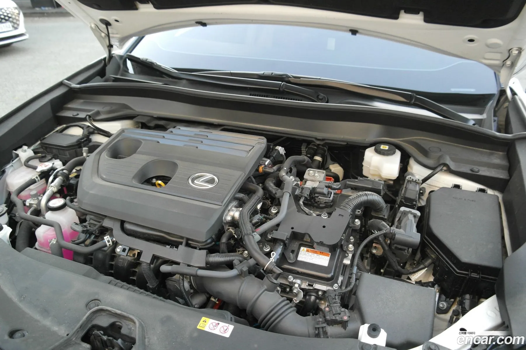 Lexus UX300h 2024 — 14