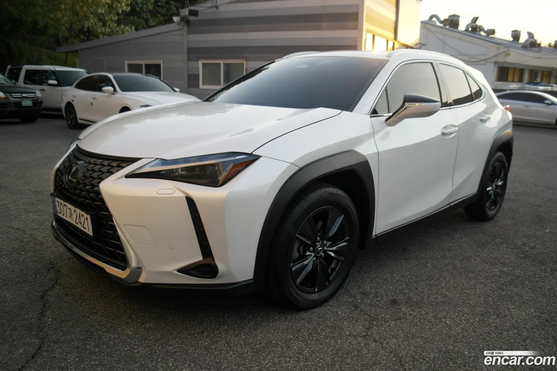 Lexus UX300h 2024 — 4