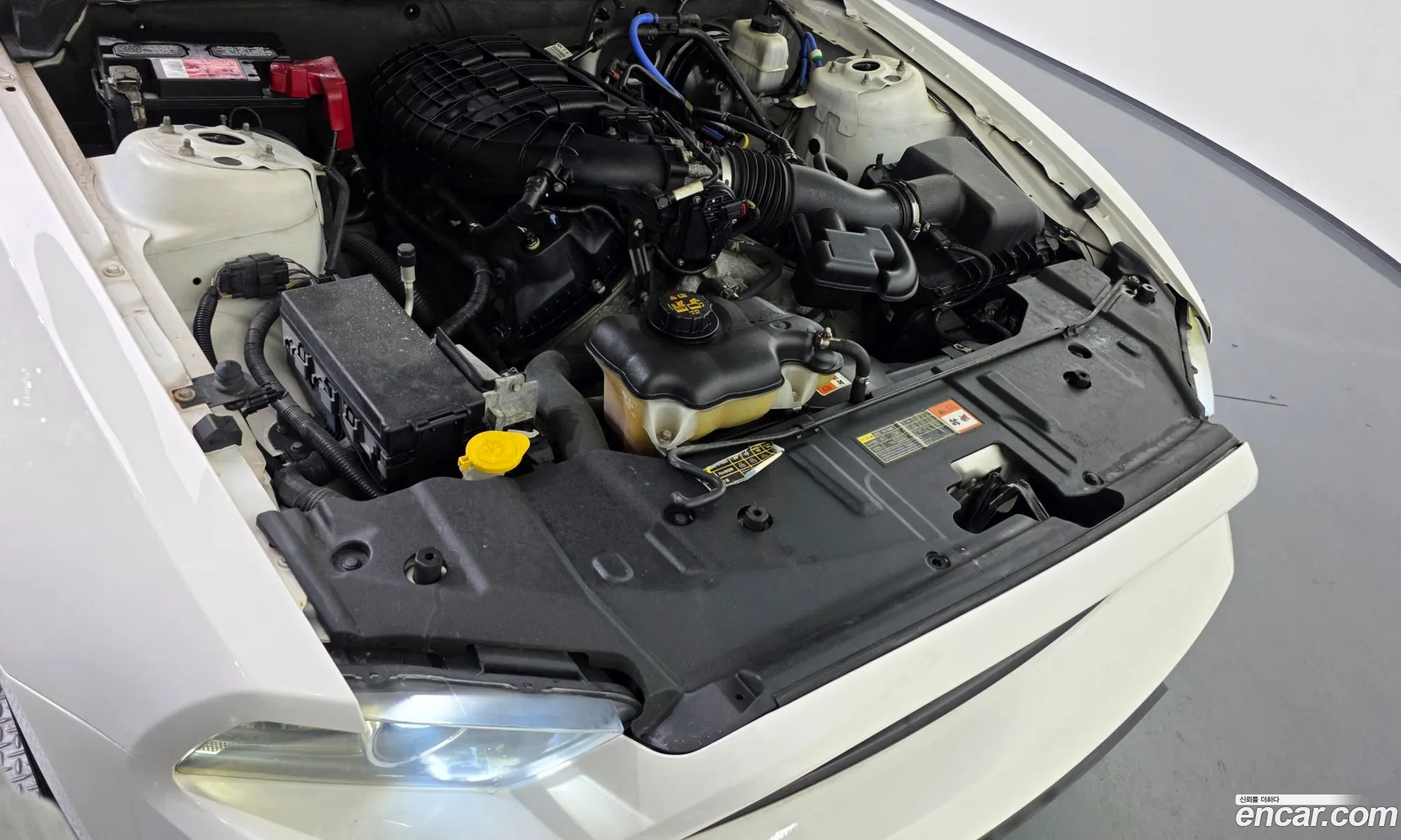 Ford Mustang 2012 1ZVBP8AMXD5242613 — 3