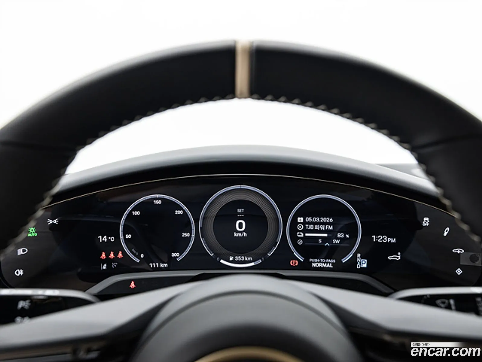 Porsche Taycan 2025 — 15