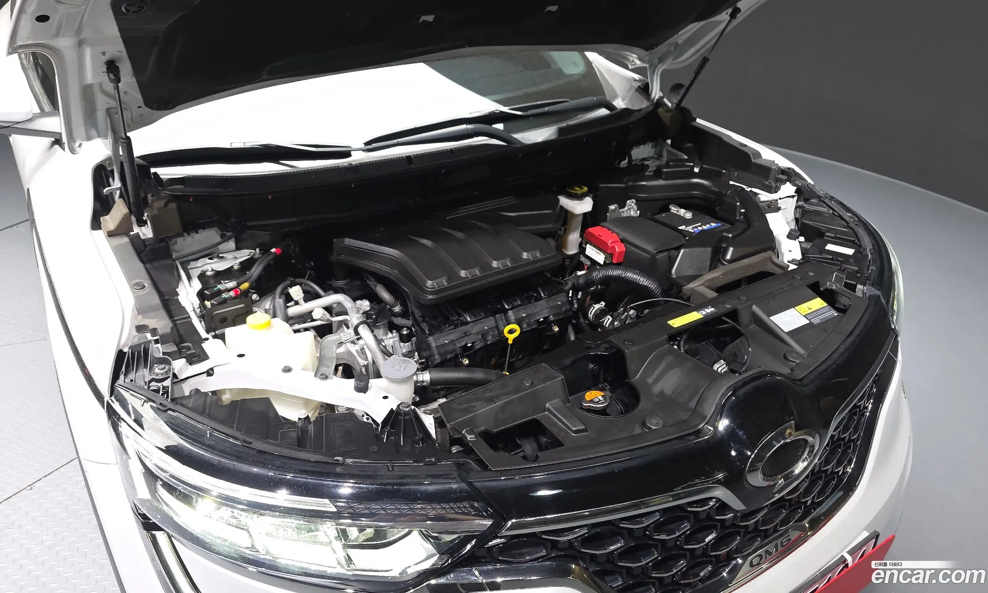 Renault Korea (Samsung) QM6 2022 — 19