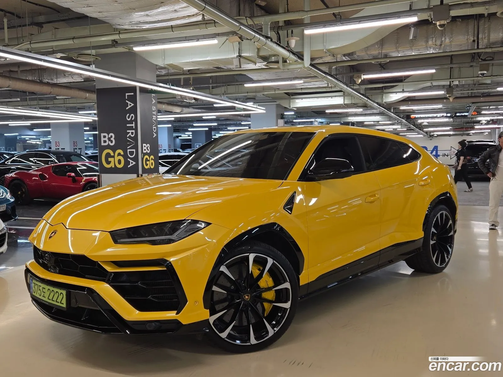 Lamborghini Urus 2022 — 2
