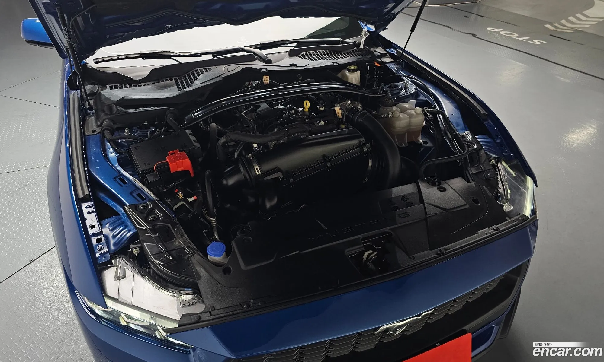 Ford Mustang 7th Gen 2024 — 25