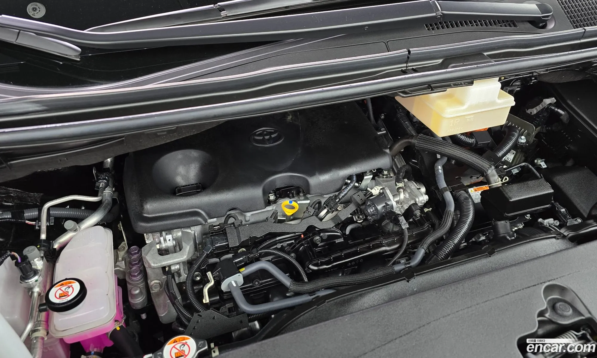 Toyota Alphard 2024 — 8