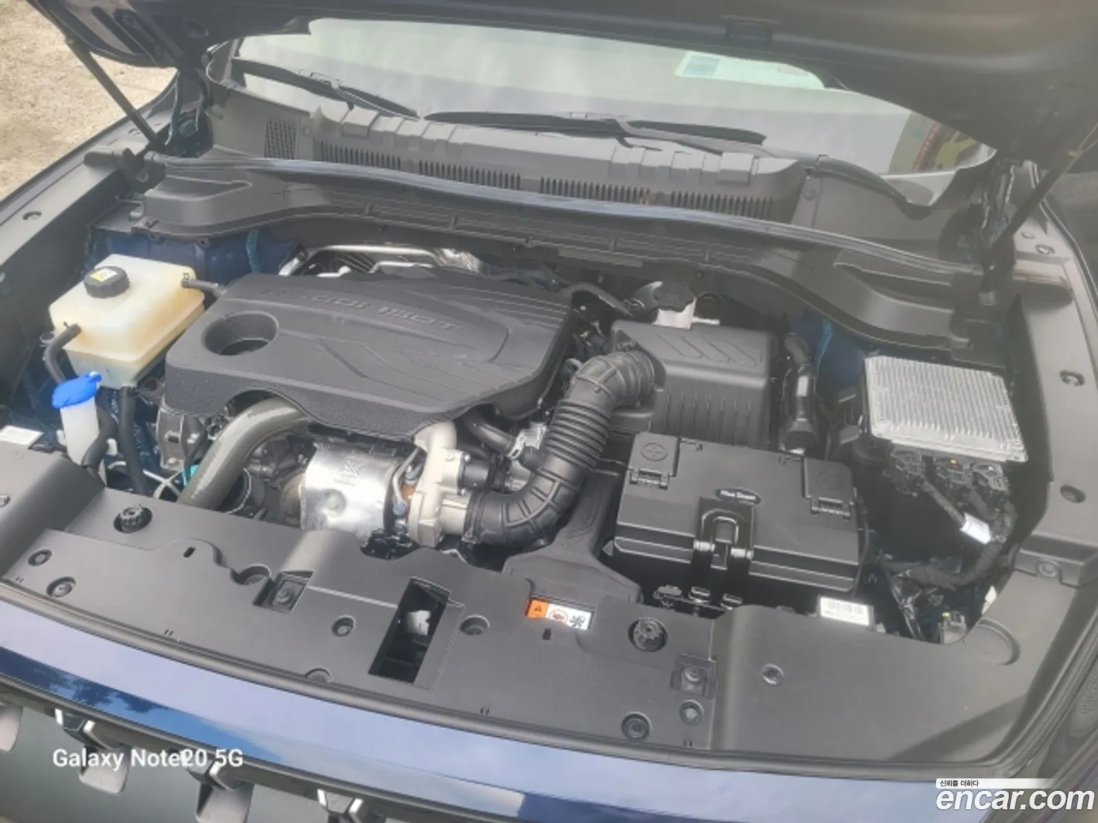 KG Mobility (SsangYong) Torres 2024 — 5