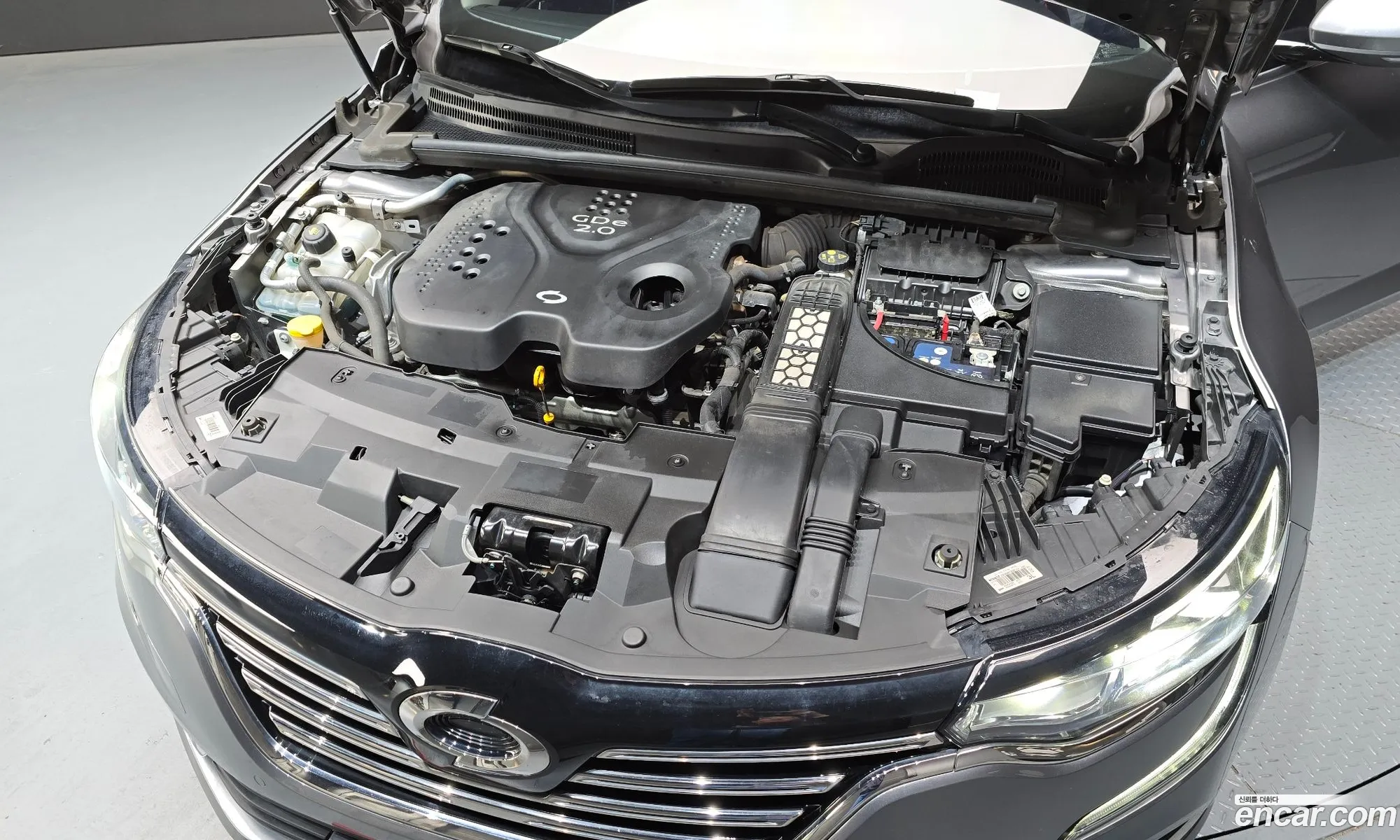 Renault Korea (Samsung) SM6 2016 — 21