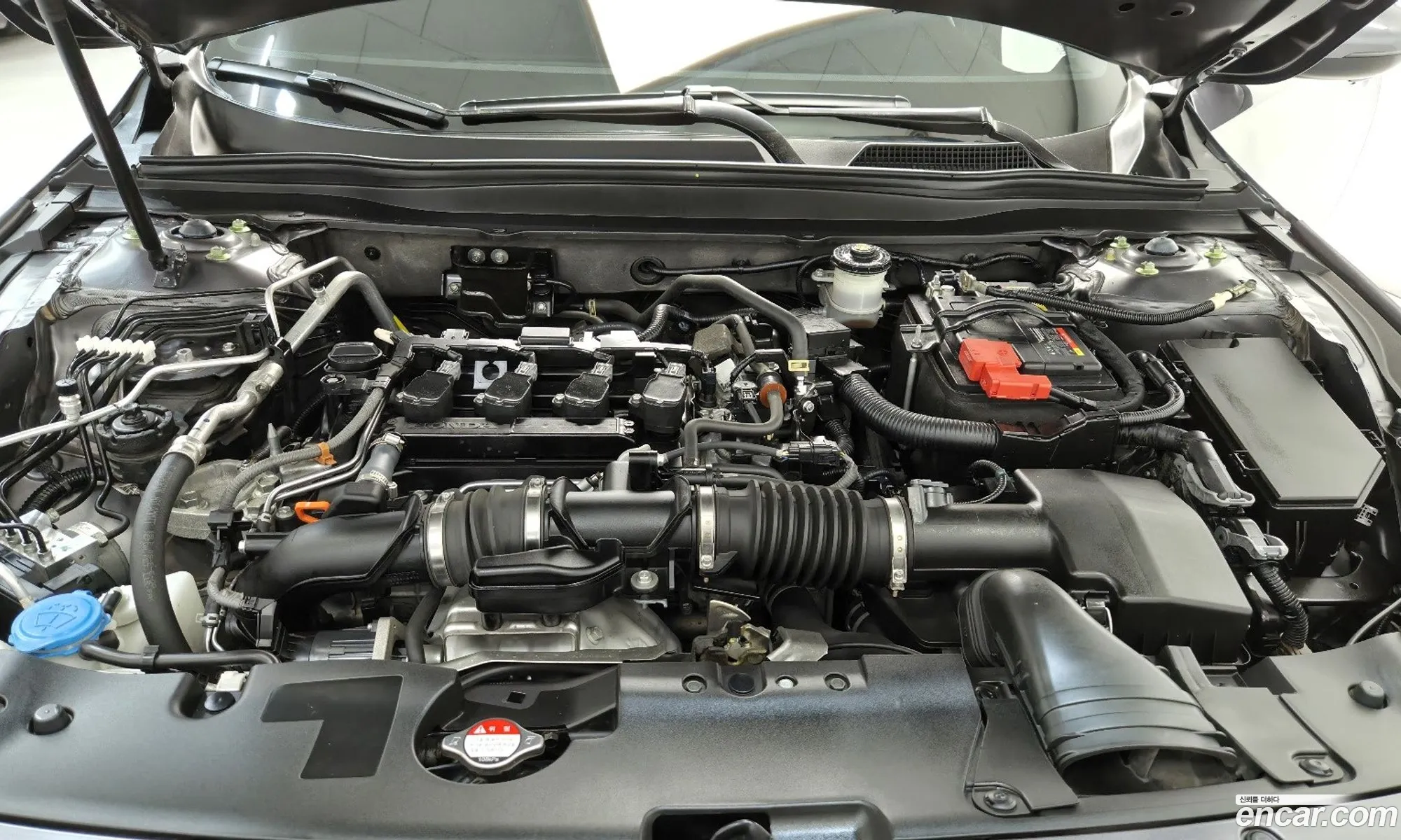 Honda Accord 10th Gen 2022 — 6