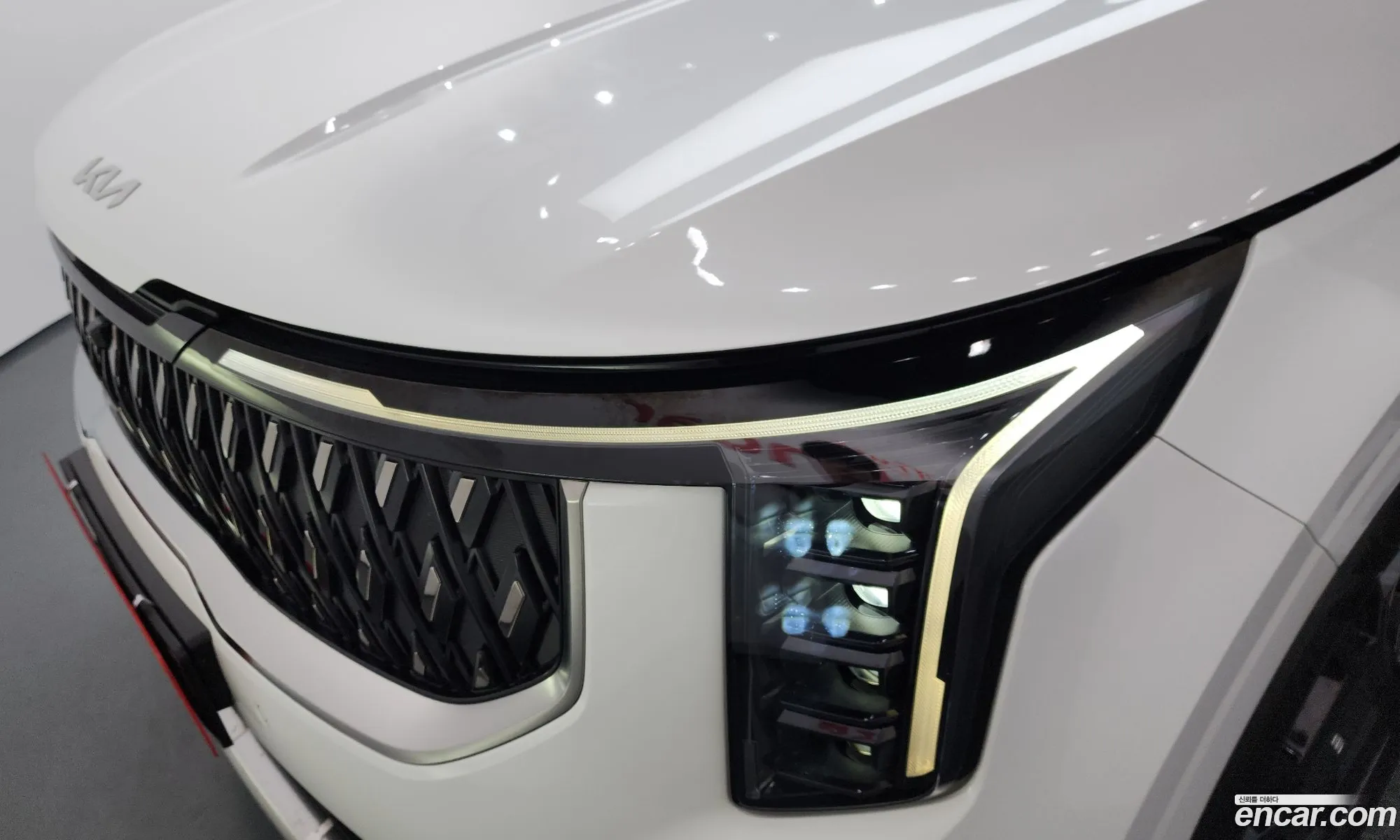 Kia Carnival 2024 KNANE81ABRS009546 — 31