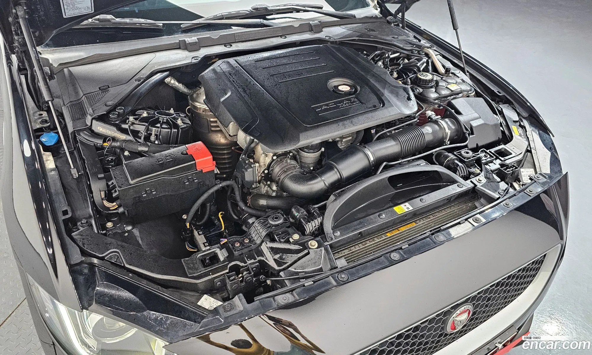 Jaguar XE 2015 — 3